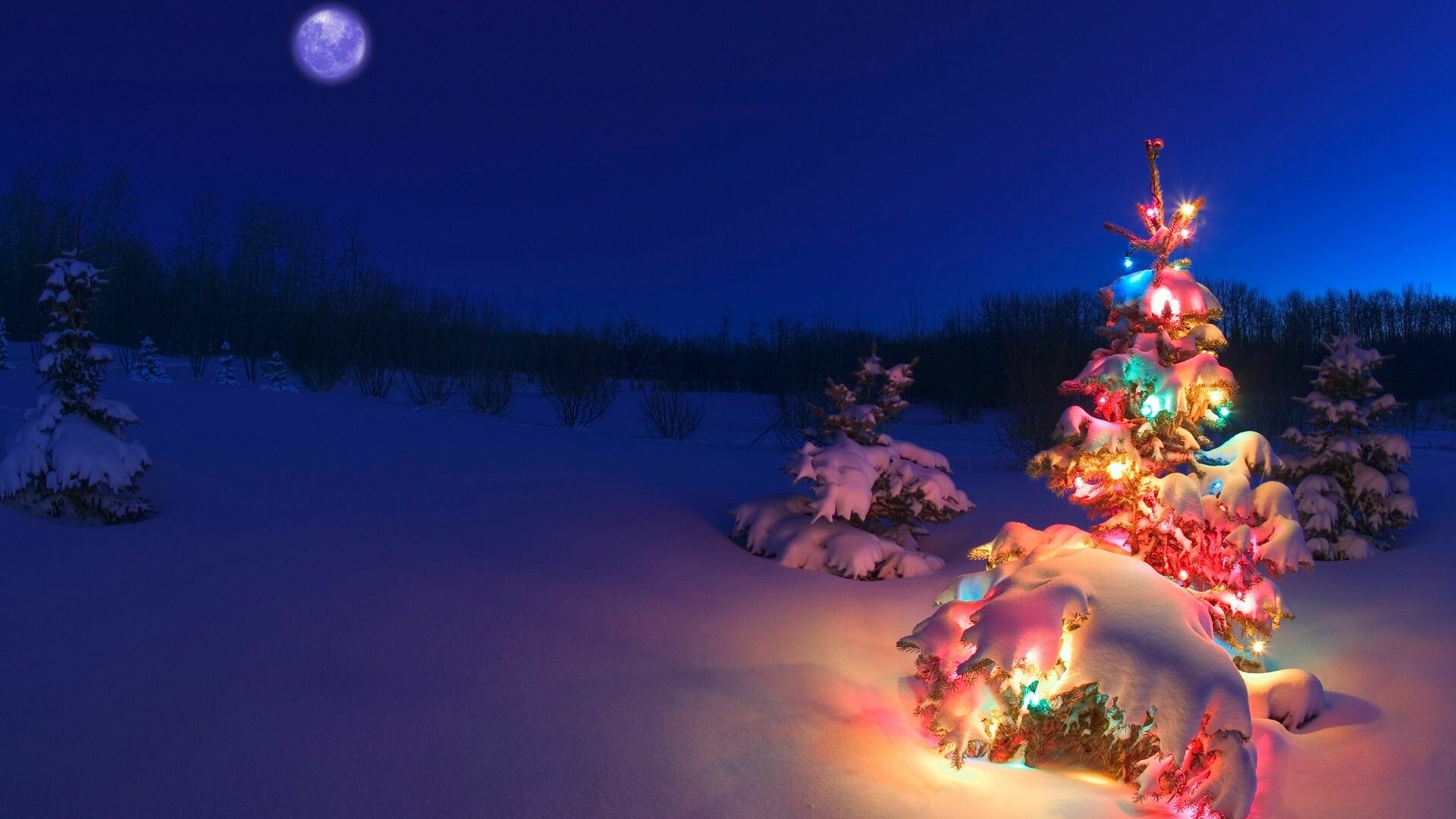 Fairy Lights, Festive wallpapers, Christmas backgrounds, Joyful celebration, 1920x1080 Full HD Desktop