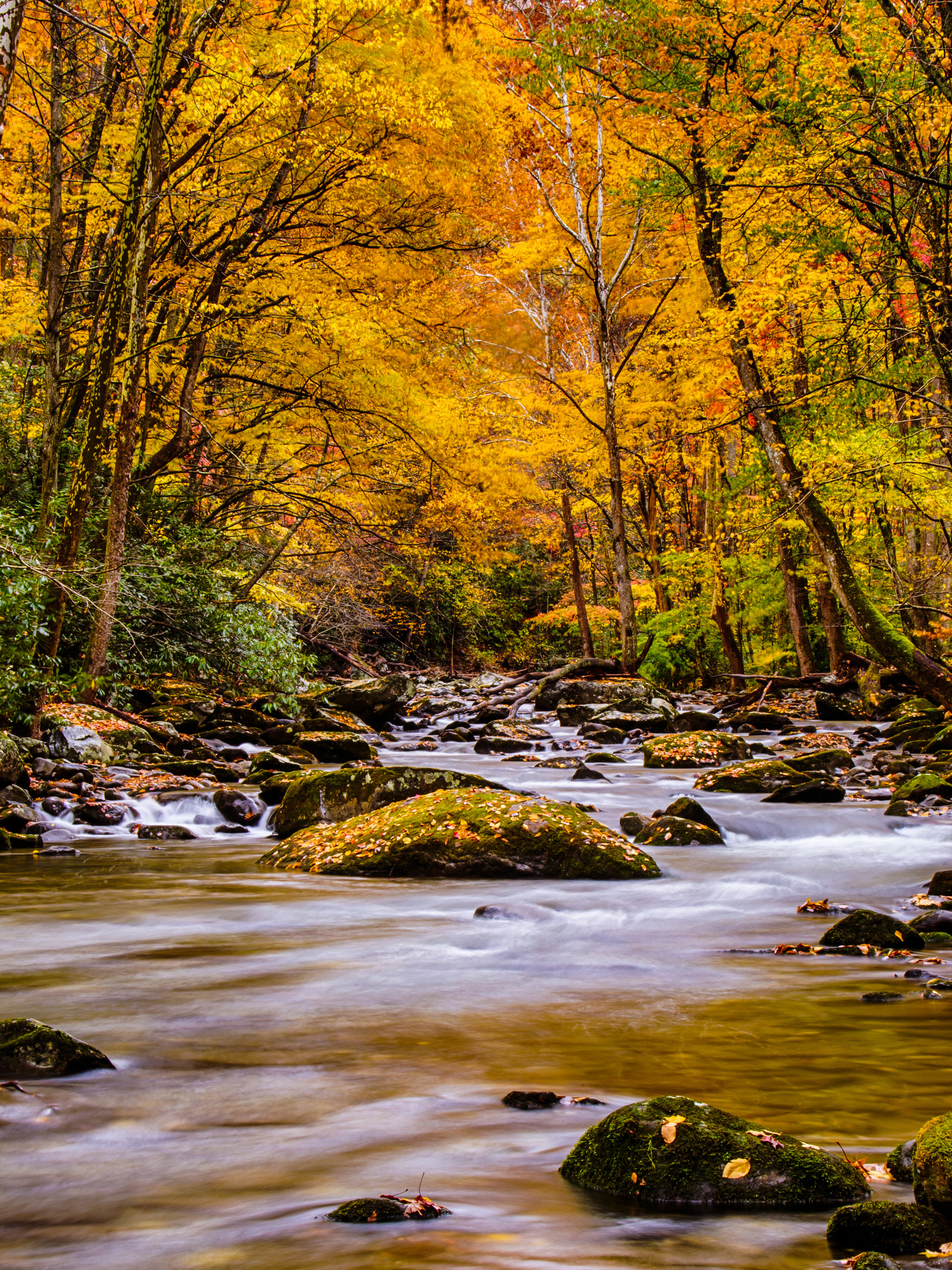 Smoky Mountain National Park, Mobile wallpaper, HD quality, Scenic beauty, 1920x2560 HD Phone