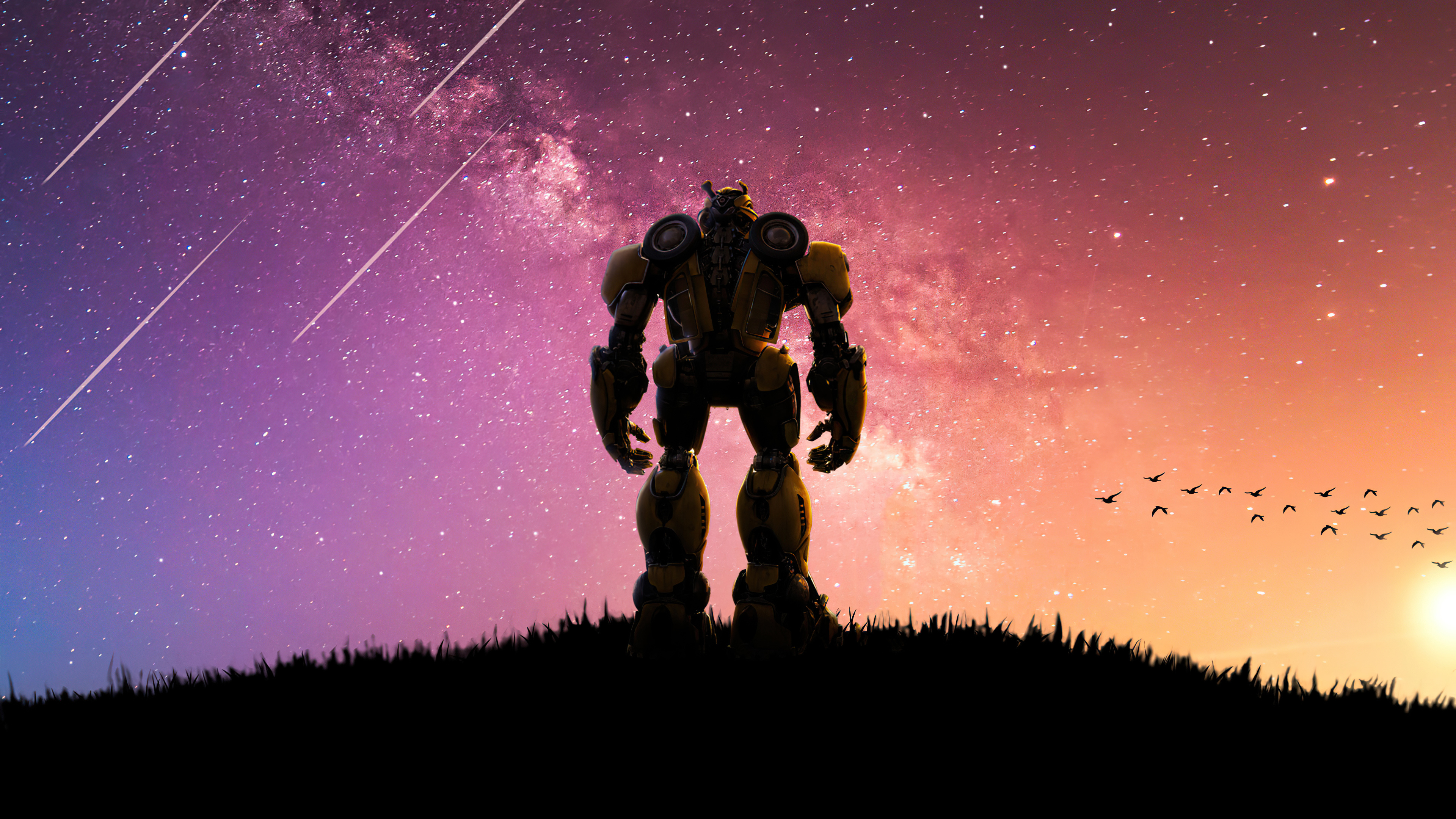 Bumblebee, 2020, 1440p resolution, HD, 3840x2160 4K Desktop