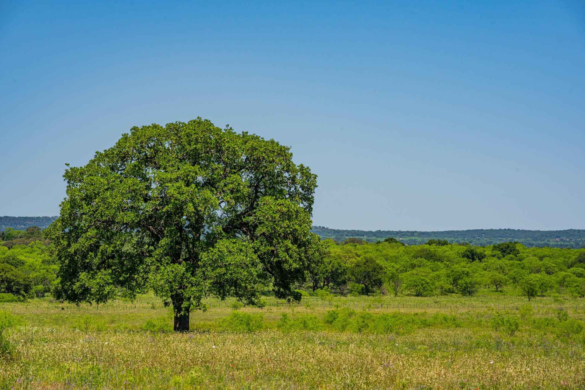 San Fernando National Reserve, Travels, Clayton Leverett, Stillwaters Land, 1980x1320 HD Desktop