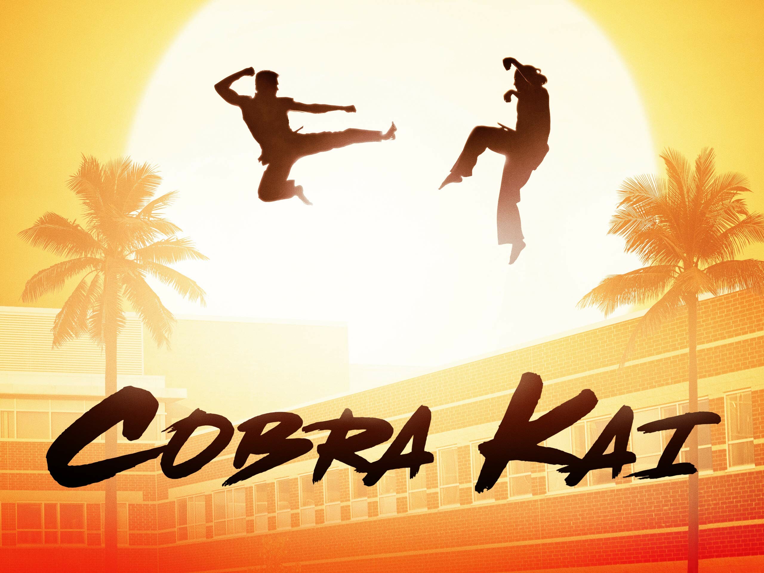 Poster, Cobra Kai (TV Series) Wallpaper, 2560x1920 HD Desktop