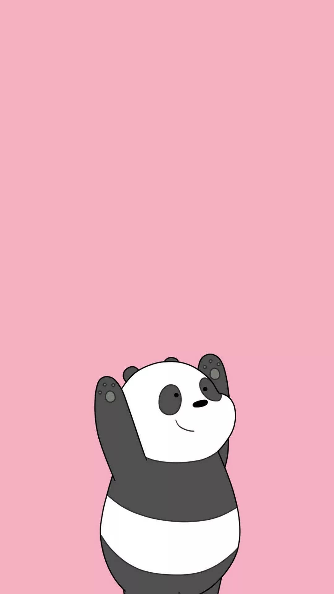 Panda, Cute Backgrounds Wallpaper, 1080x1920 Full HD Phone