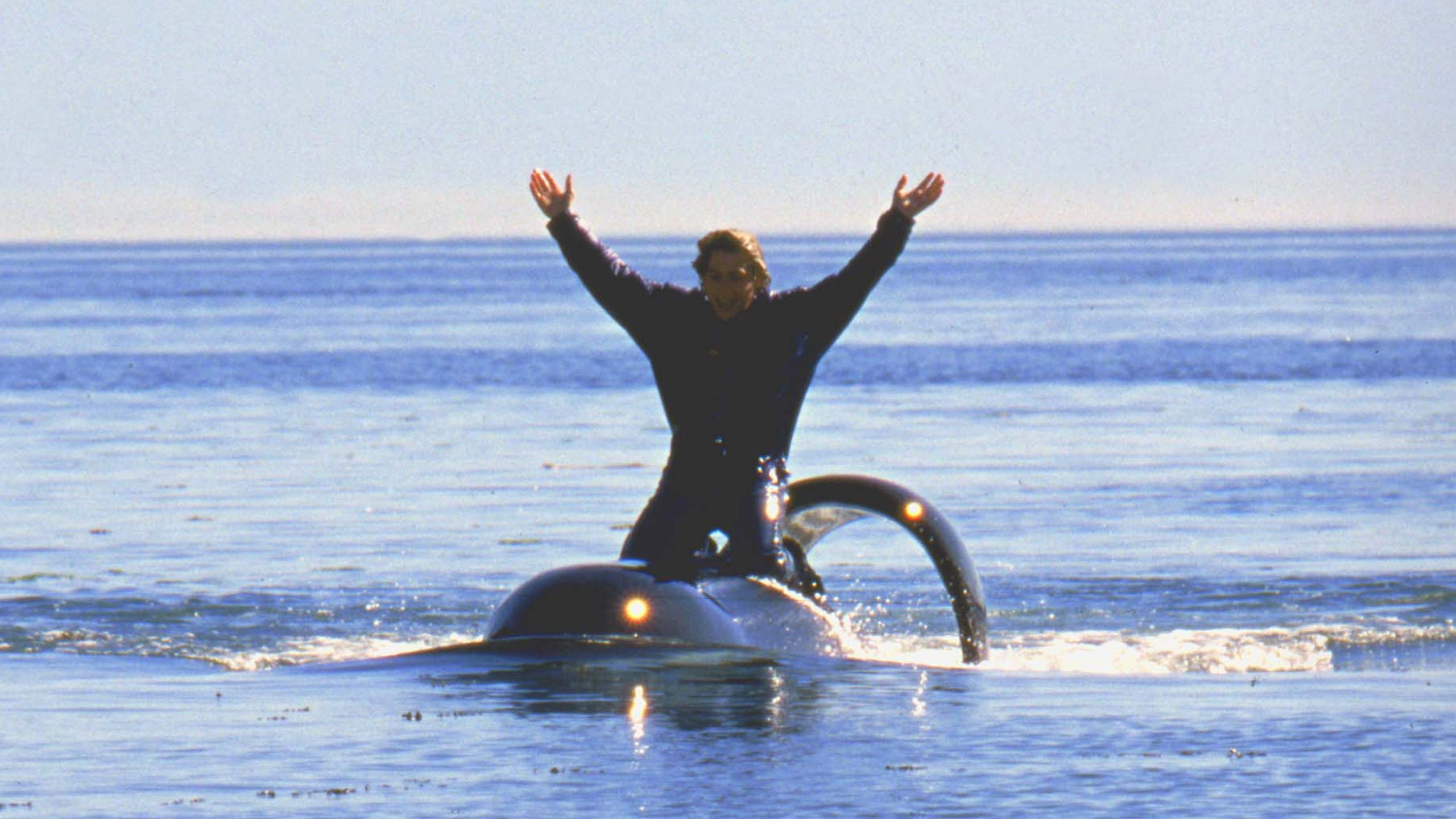 Free Willy 2: The Adventure Home, Free Willy Wallpaper, 2560x1440 HD Desktop