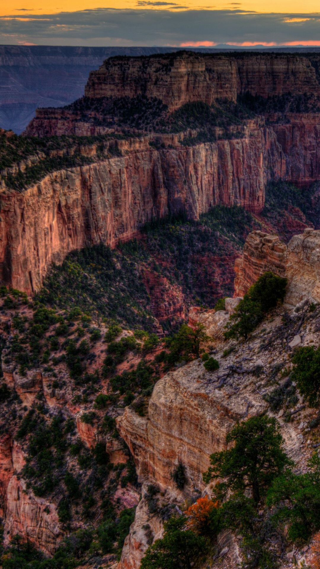 Grand Canyon, Iconic beauty, Untamed wilderness, Nature's glory, 1080x1920 Full HD Phone