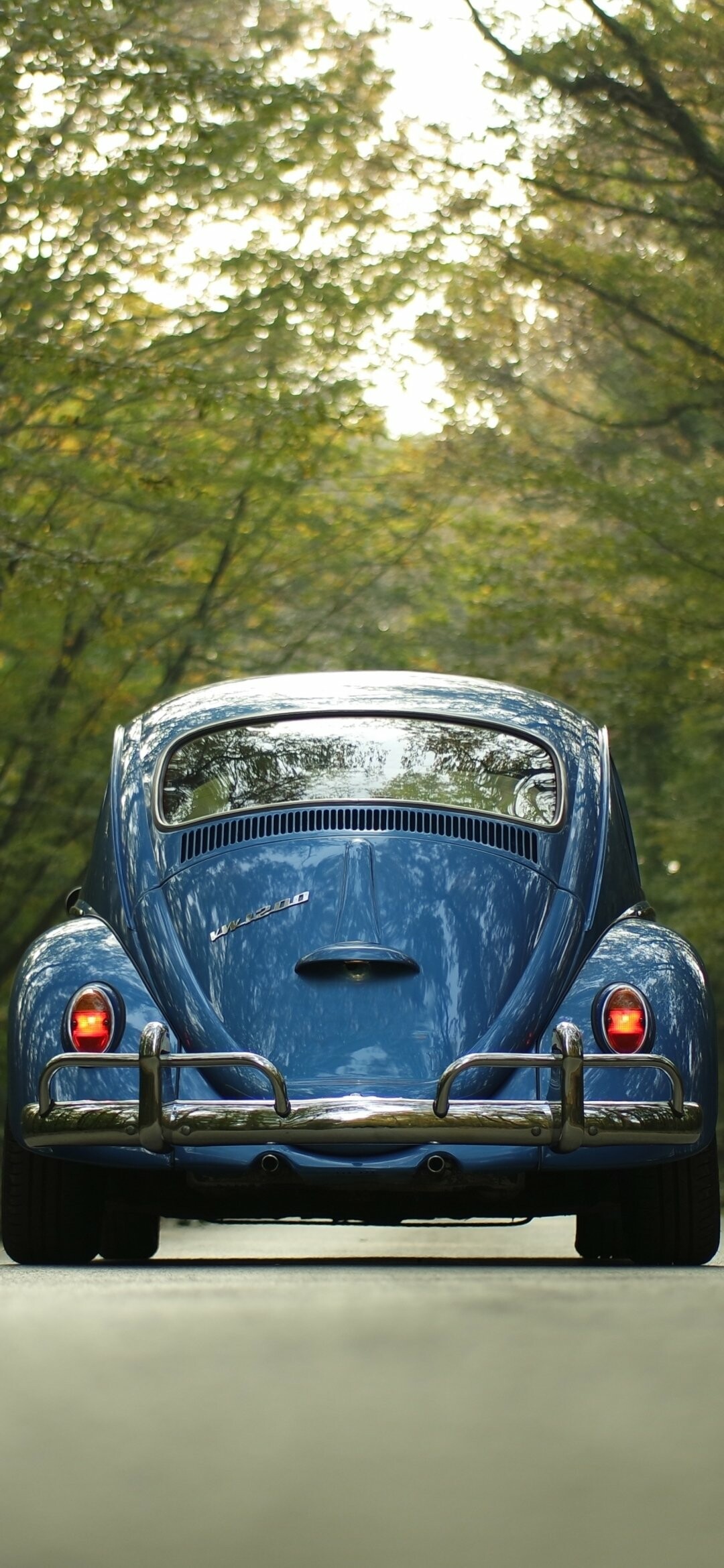 Beetle, Volkswagen Wallpaper, 1080x2340 HD Phone