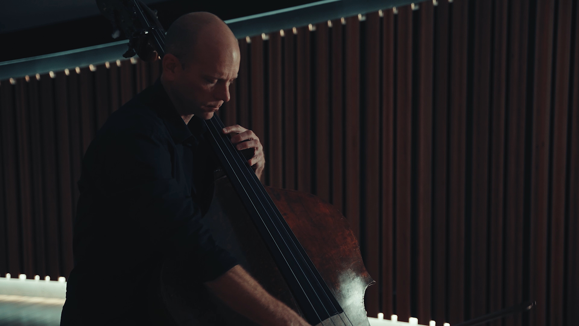 Interview with ACO double bassist, Maxime Bibeau, Musical insights, Deep resonant tones, 1920x1080 Full HD Desktop