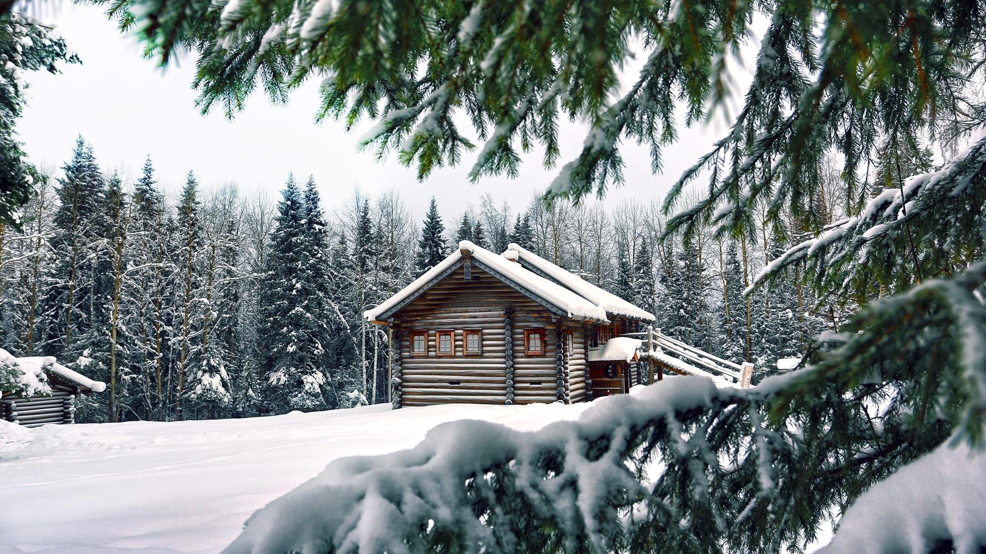 Log Cabin, Scenic landscapes, Cabin in the woods, Tranquil beauty, Natural charm, 1920x1080 Full HD Desktop