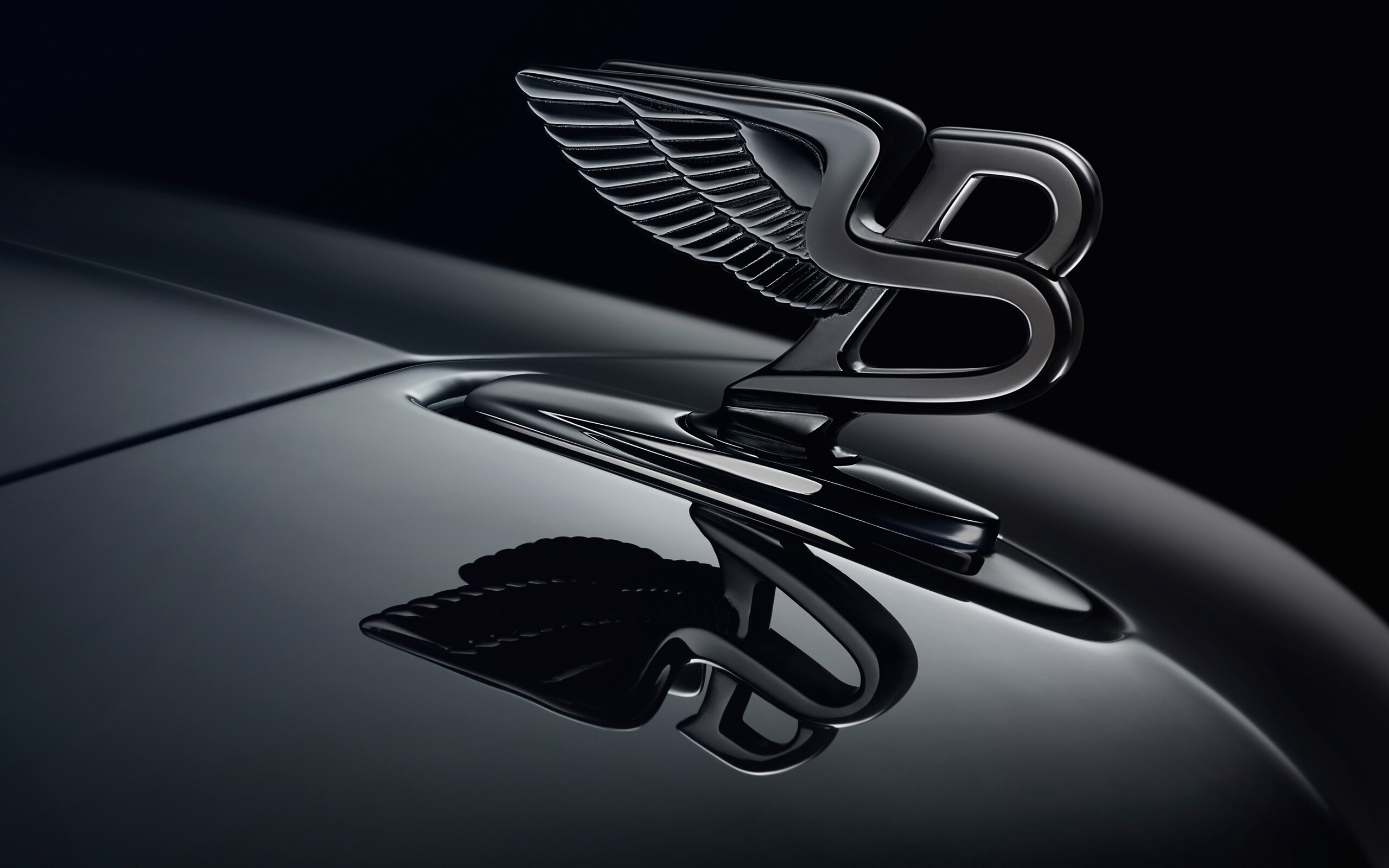 Logo, Bentley Wallpaper, 2560x1600 HD Desktop