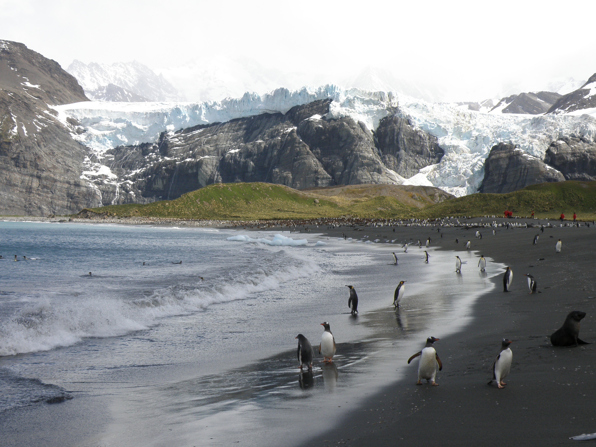 South Sandwich Islands, Gold Harbour, Wiki article, Remote wilderness, 2050x1540 HD Desktop