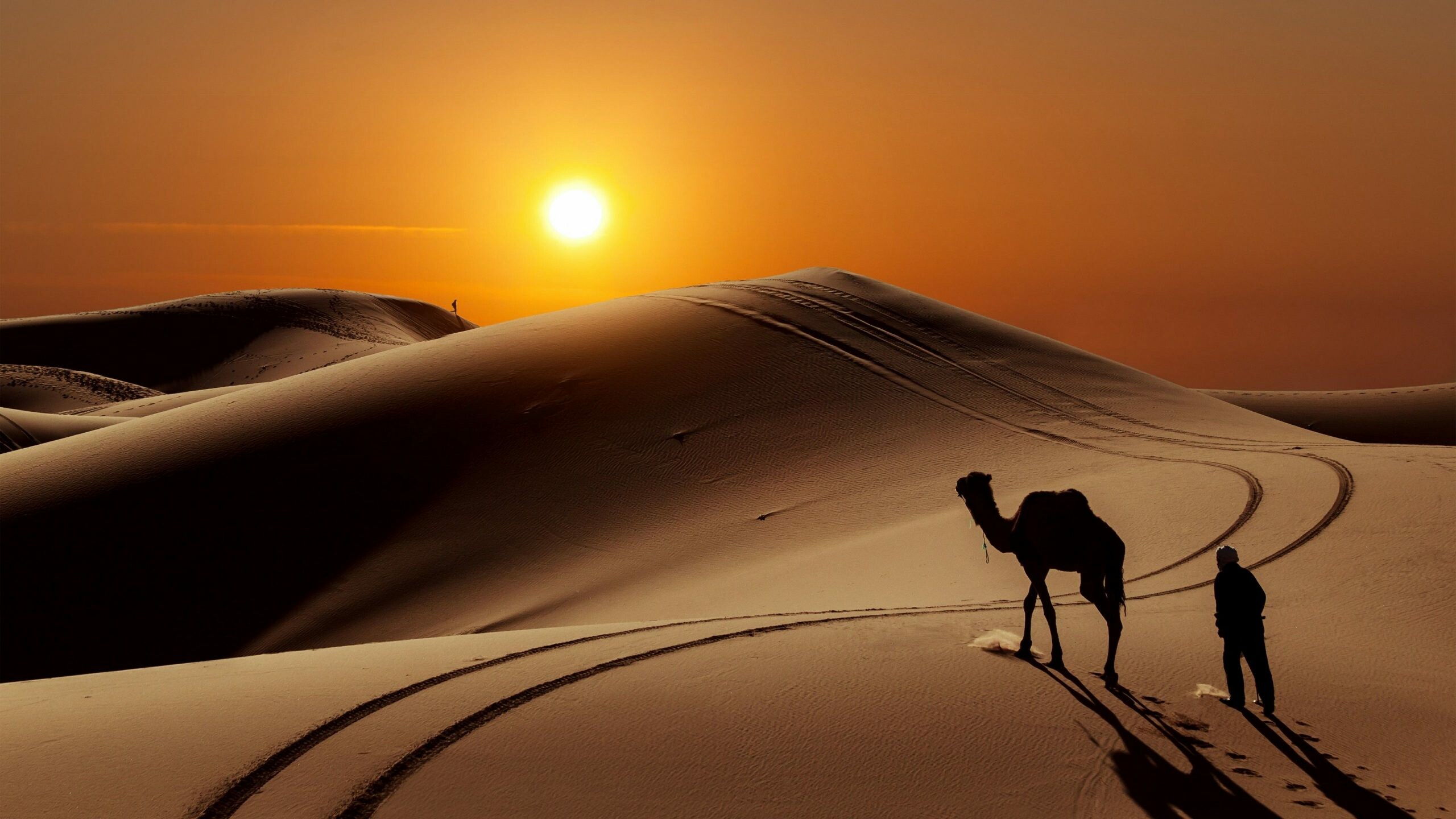 Desert, Beautiful background, Serene landscape, Nature's masterpiece, 2560x1440 HD Desktop