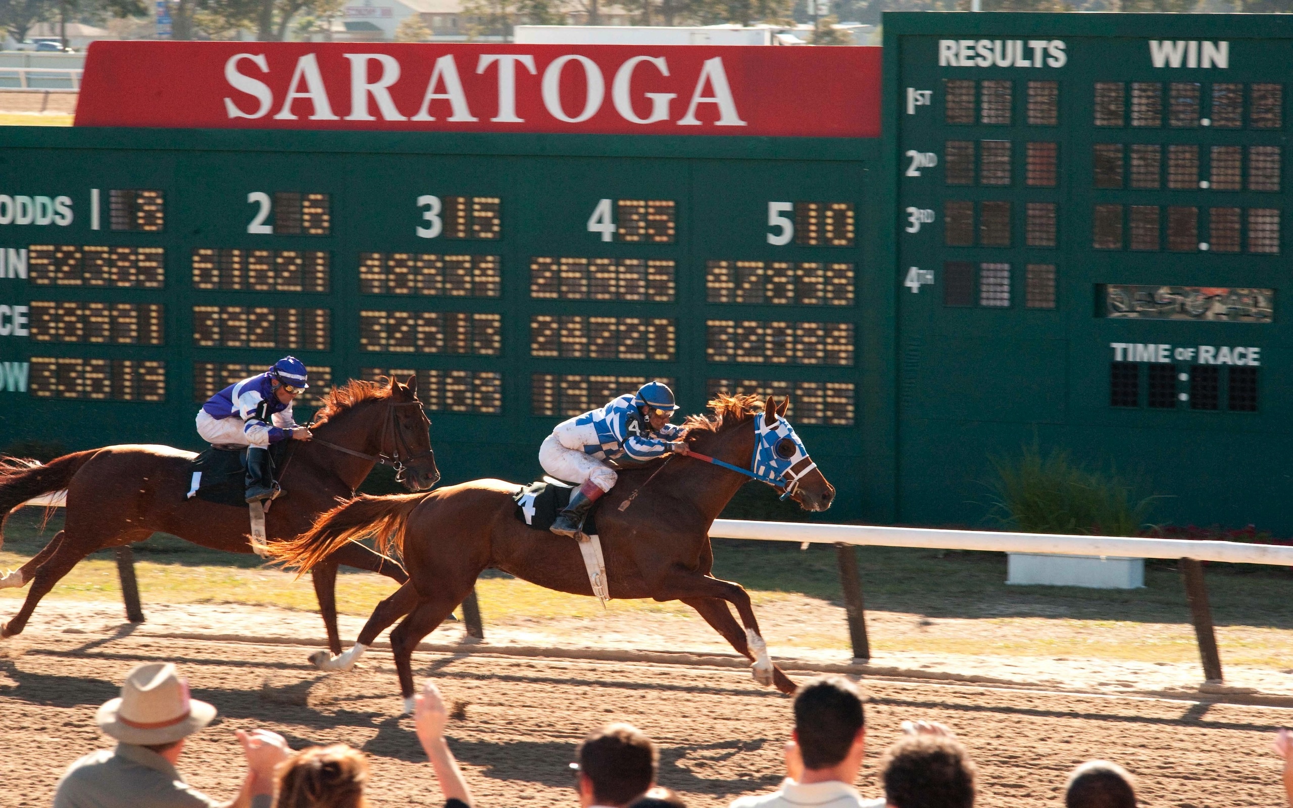 Secretariat, Race horse wallpaper, Horse wallpaper, Wallpaper 43, 2560x1600 HD Desktop