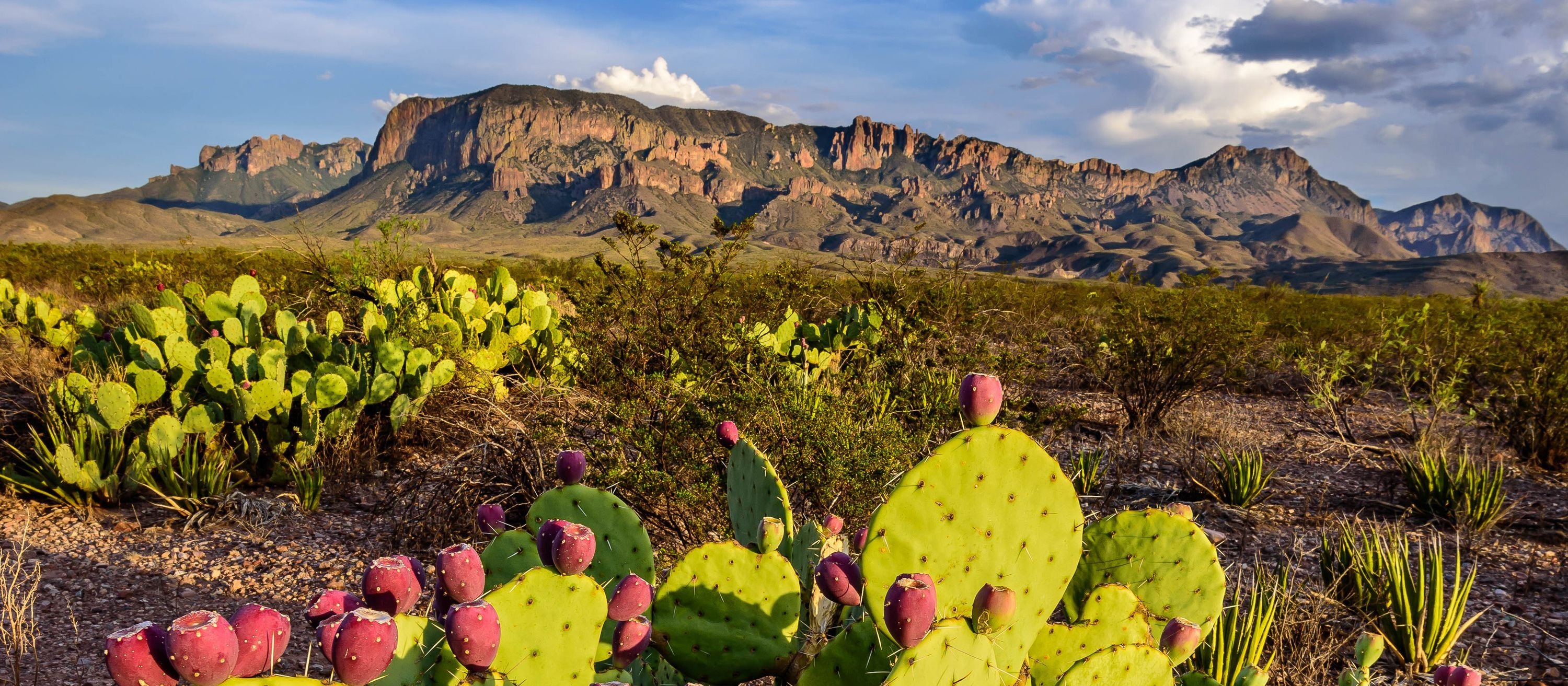 Chisos Mountains, Texas Wallpaper, 3000x1320 Dual Screen Desktop