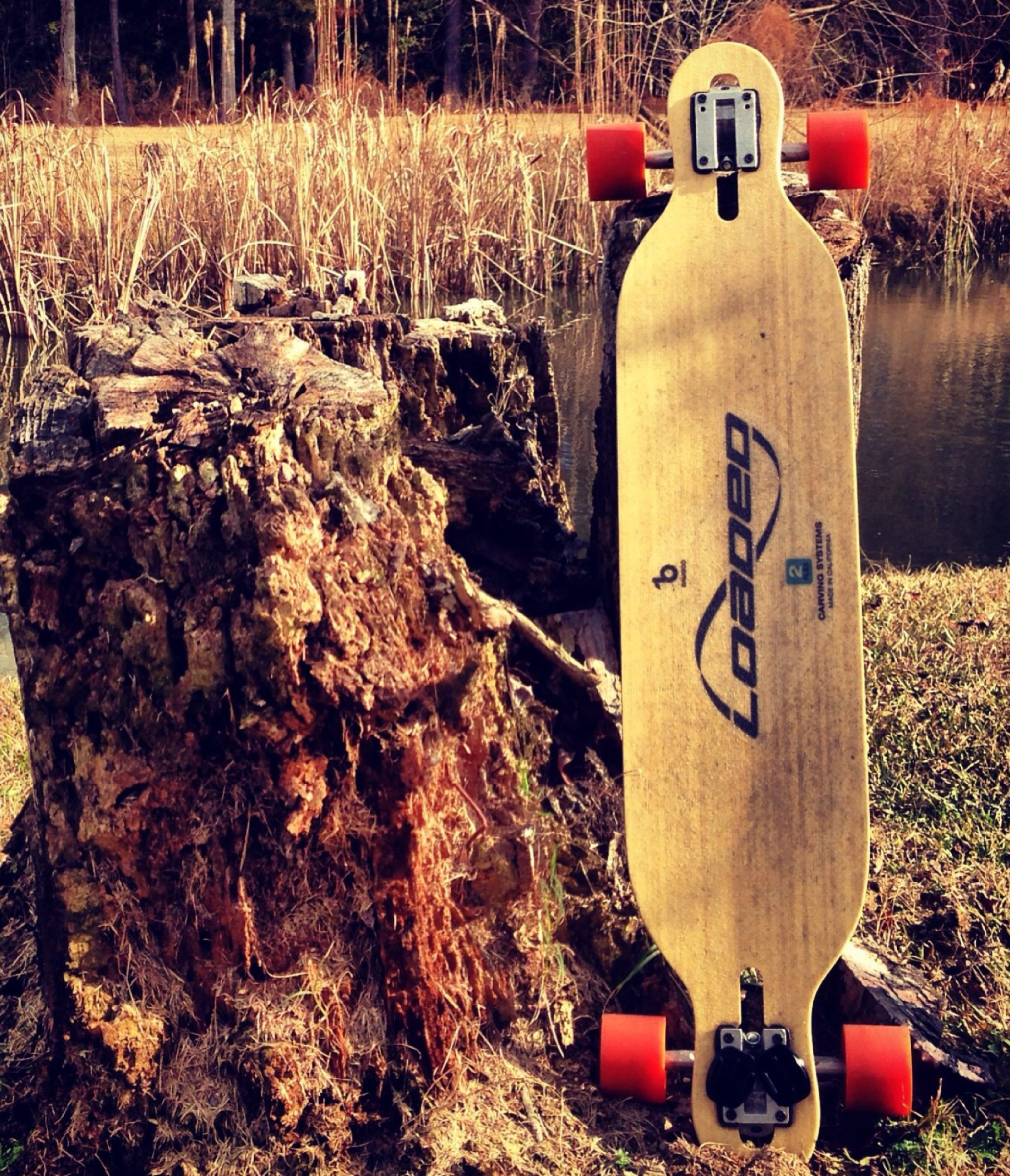 Loaded Dervish Sama, Longboard Wallpaper, 2070x2400 HD Phone