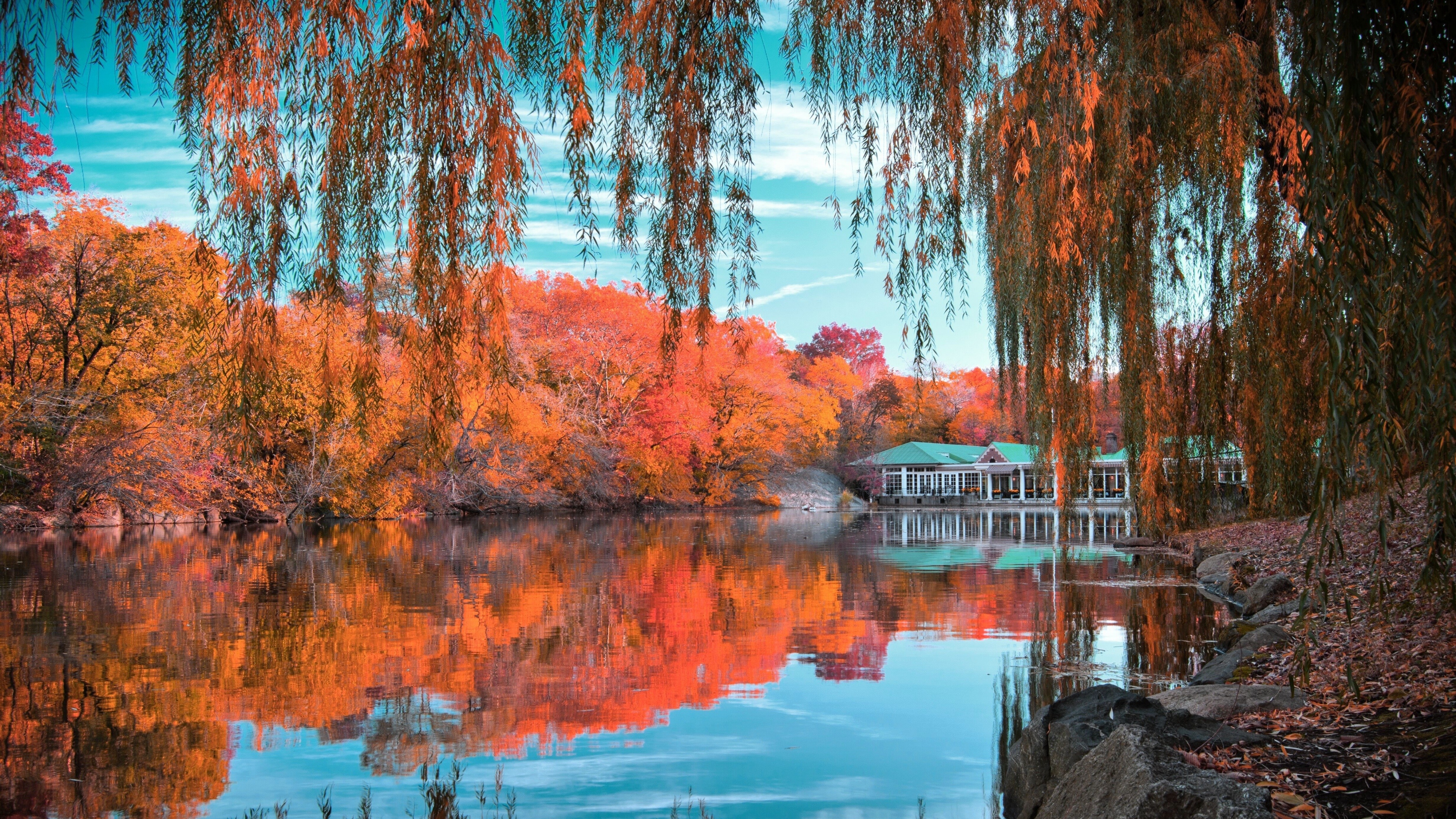 The Lake, Central Park Wallpaper, 3840x2160 4K Desktop