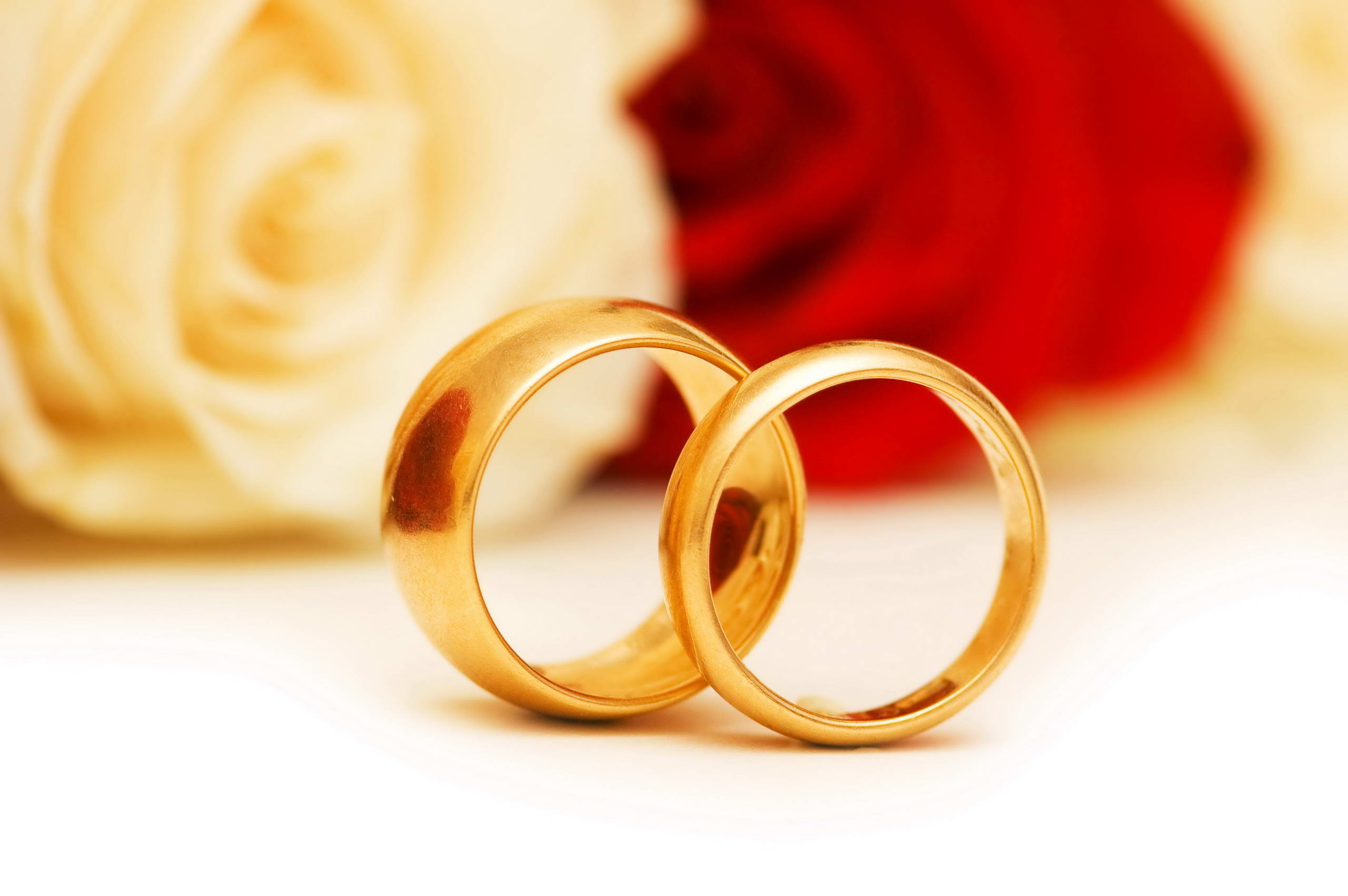 Wedding rings, Ring Wallpaper, 2560x1710 HD Desktop