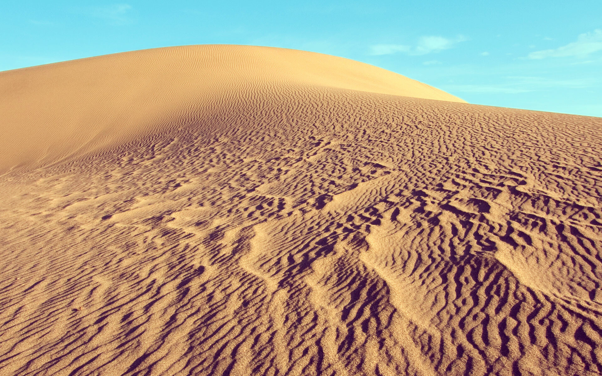 Desert landscape, Natural beauty, Sandy dunes, Sunny skies, 1920x1200 HD Desktop