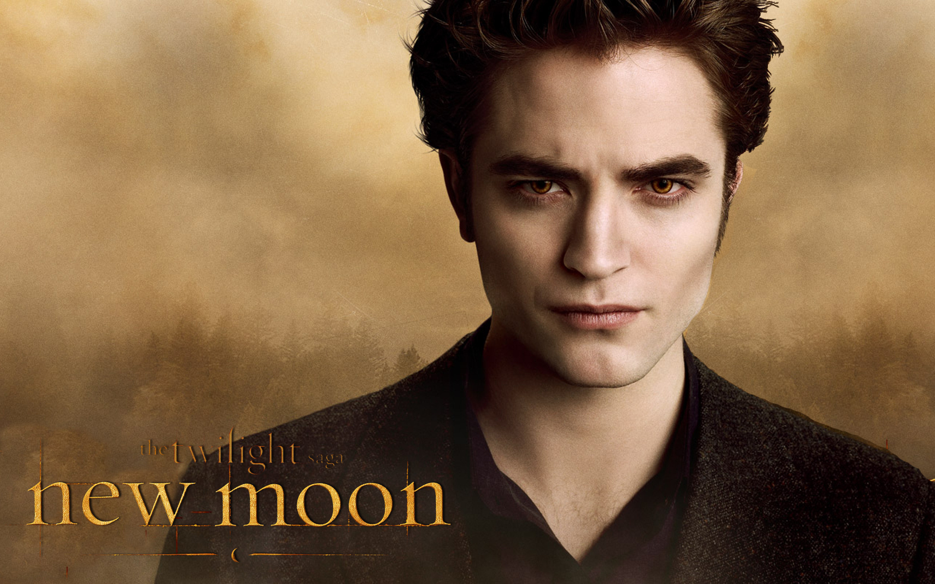 Edward, Twilight movies, Edward Cullen, Twilight Serie, 1920x1200 HD Desktop