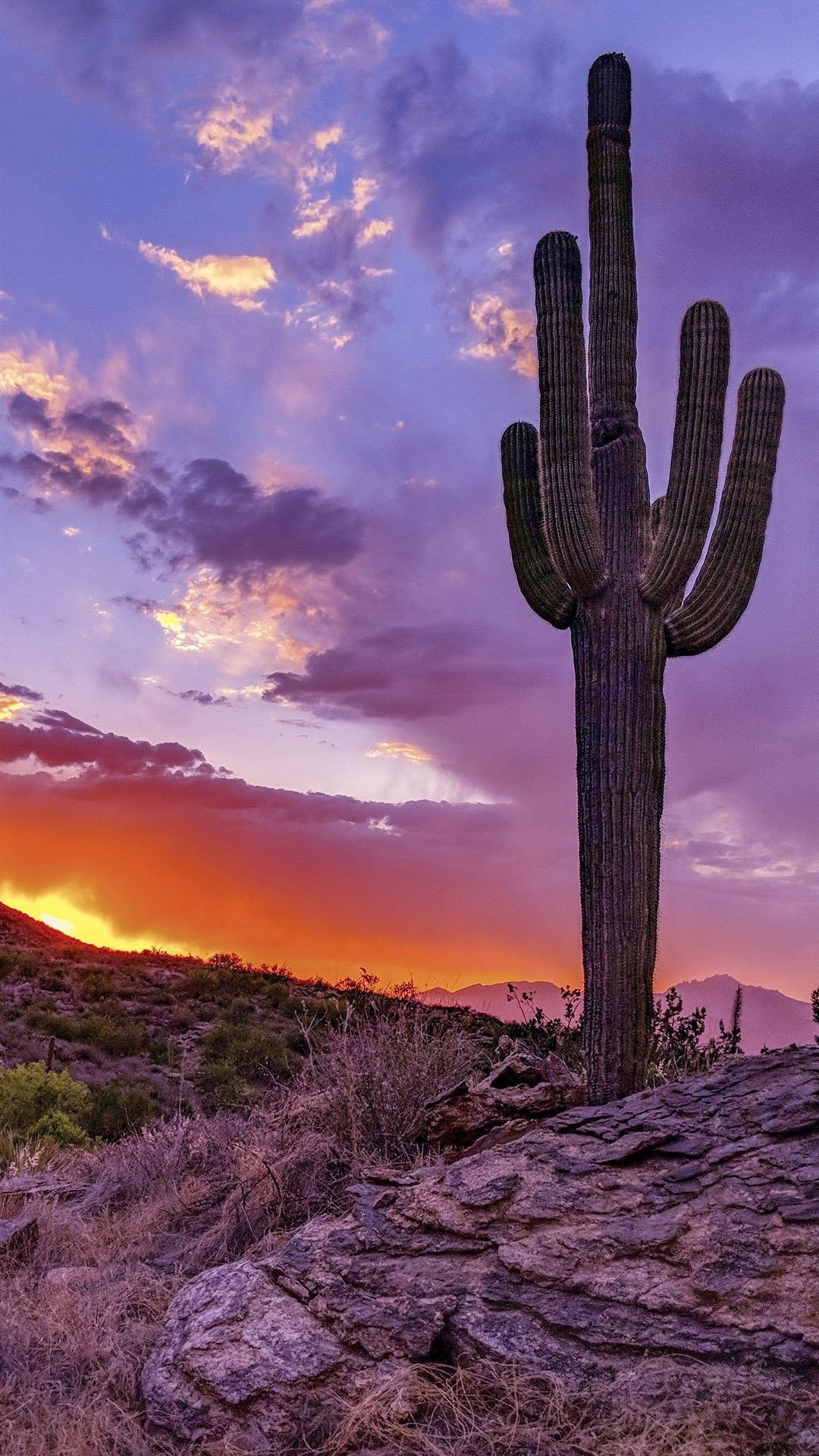 Arizona iPhone wallpapers, Free, Downloads, High quality, 1080x1920 Full HD Phone