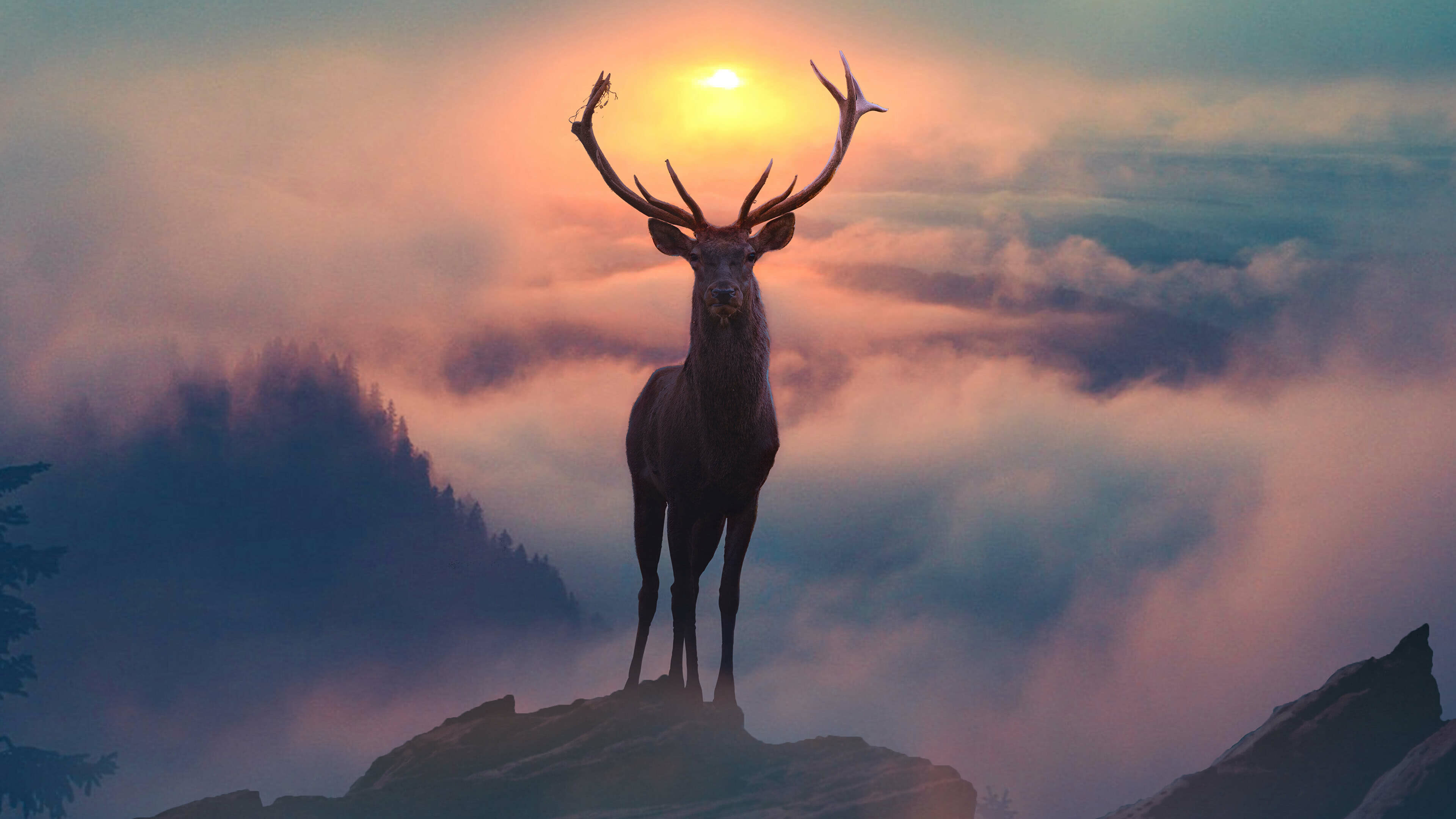 Mountain fog, Reindeers Wallpaper, 3840x2160 4K Desktop