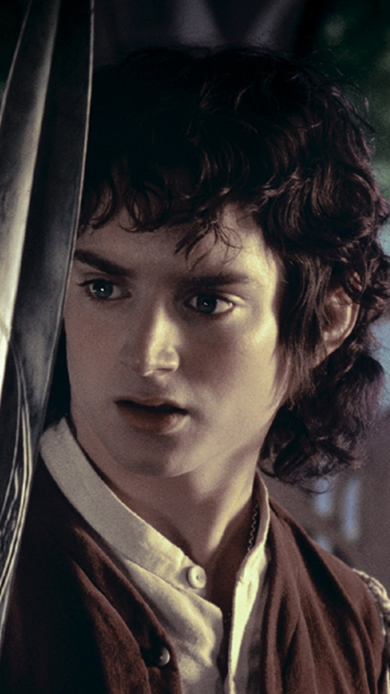 Elijah Wood's portrayal, Captivating performance, The Fellowship of the Ring, Movie magic, 1250x2210 HD Phone