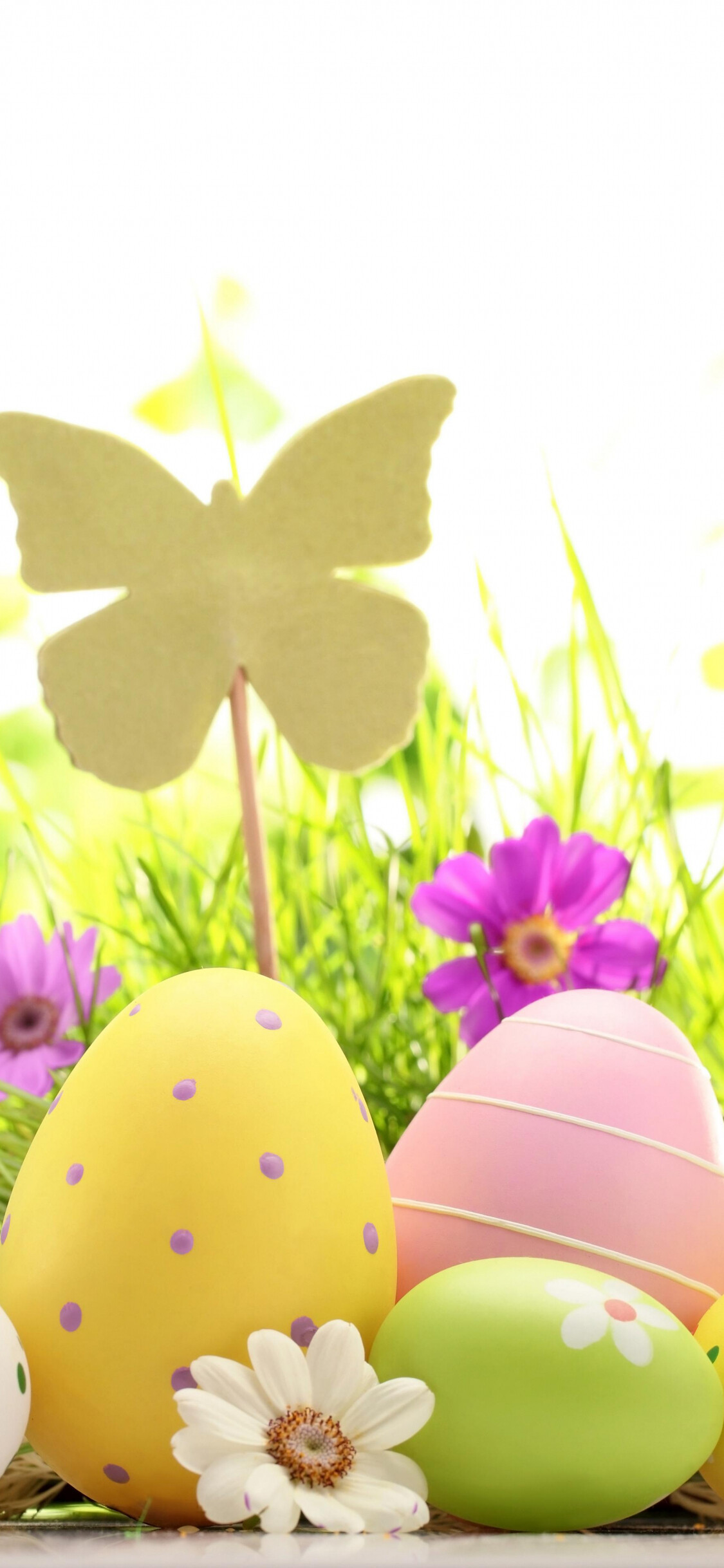 Easter wallpaper, Festive background, Spring celebration, Personalized design, 1130x2440 HD Phone