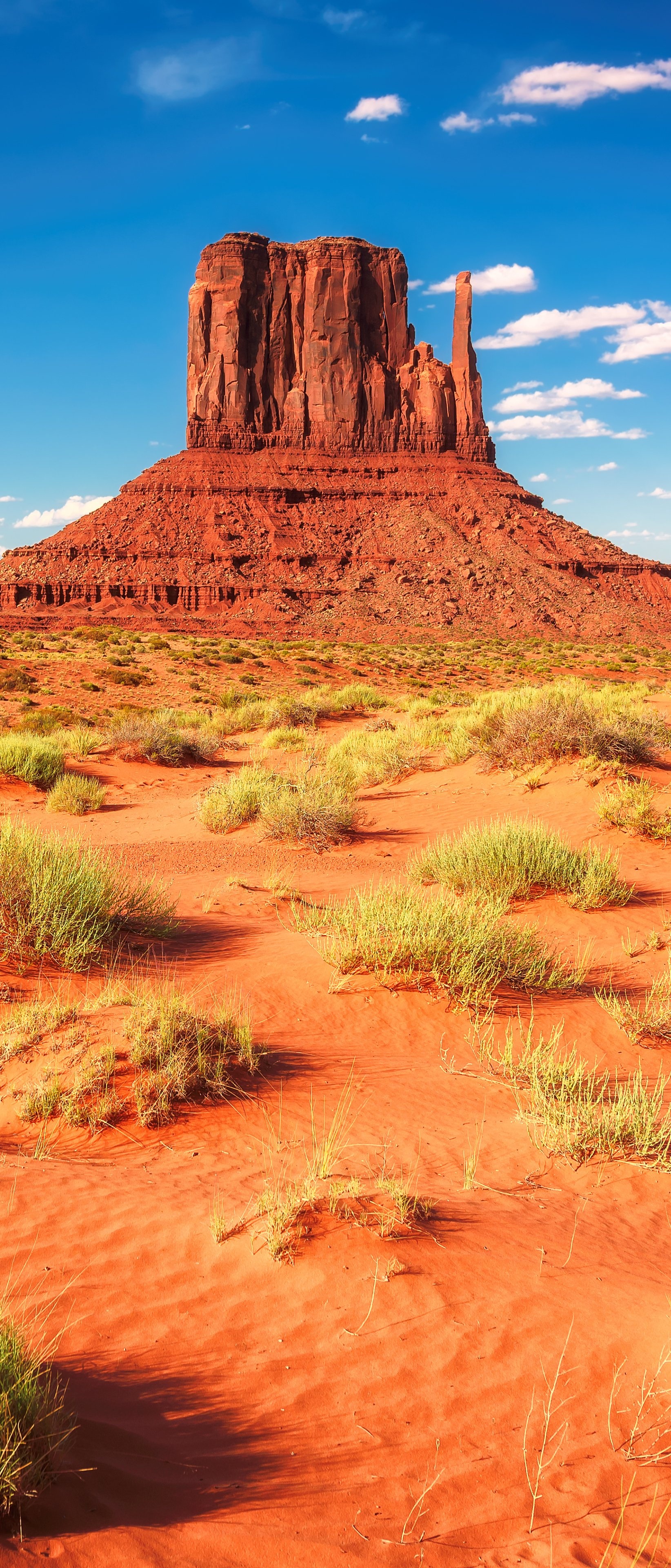 Earth's Monument Valley, Natural wonder, Breathtaking landscapes, Desert beauty, 1650x3840 HD Phone