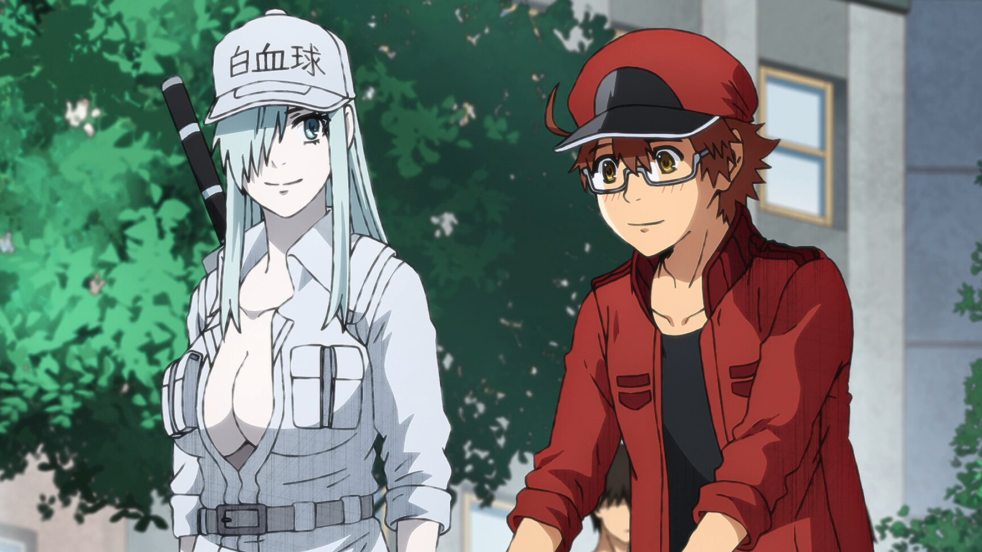 Cells at Work! Code Black, Episode 13, Final discussion, Ranime, 1920x1080 Full HD Desktop