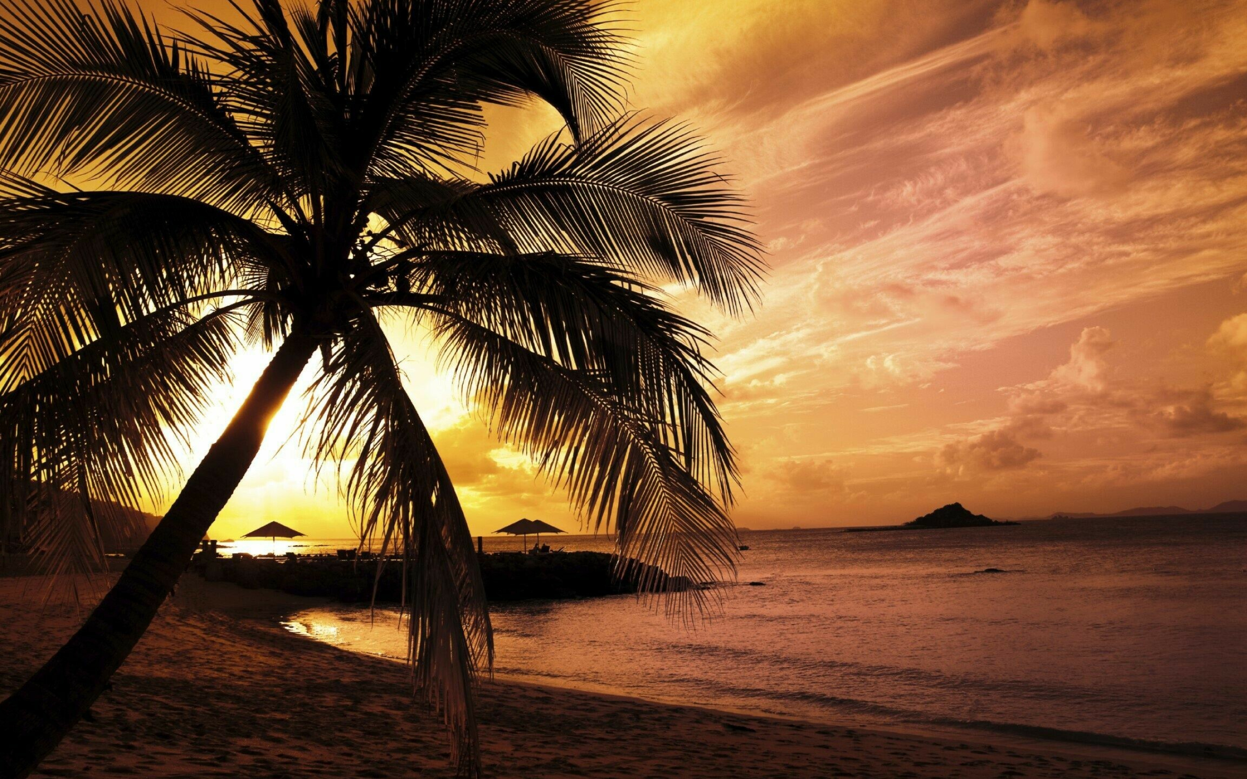 Beach sunset wallpapers, HD quality, Romantic serenity, Tropical paradise, 2560x1600 HD Desktop