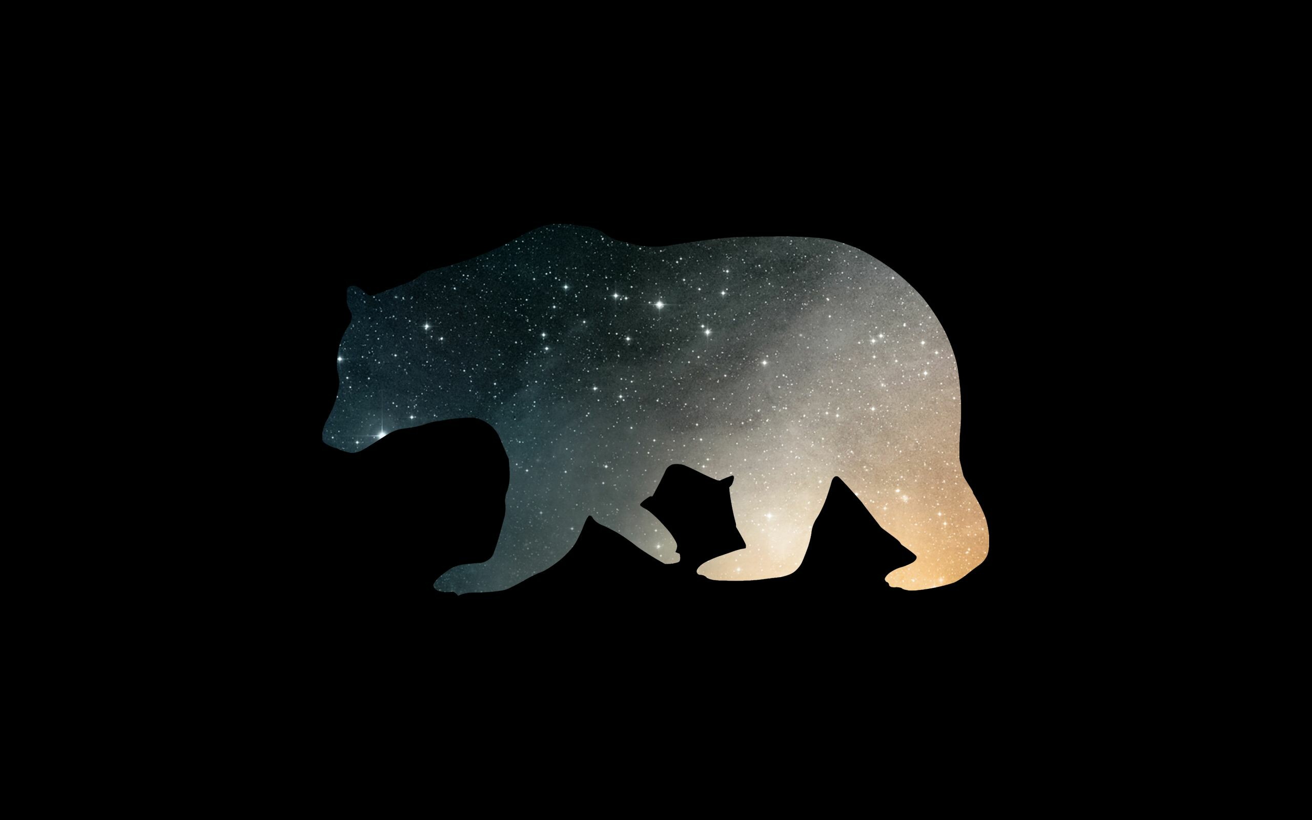 Minimalist bears, Artistic wallpapers, Simple elegance, Captivating imagery, 2560x1600 HD Desktop