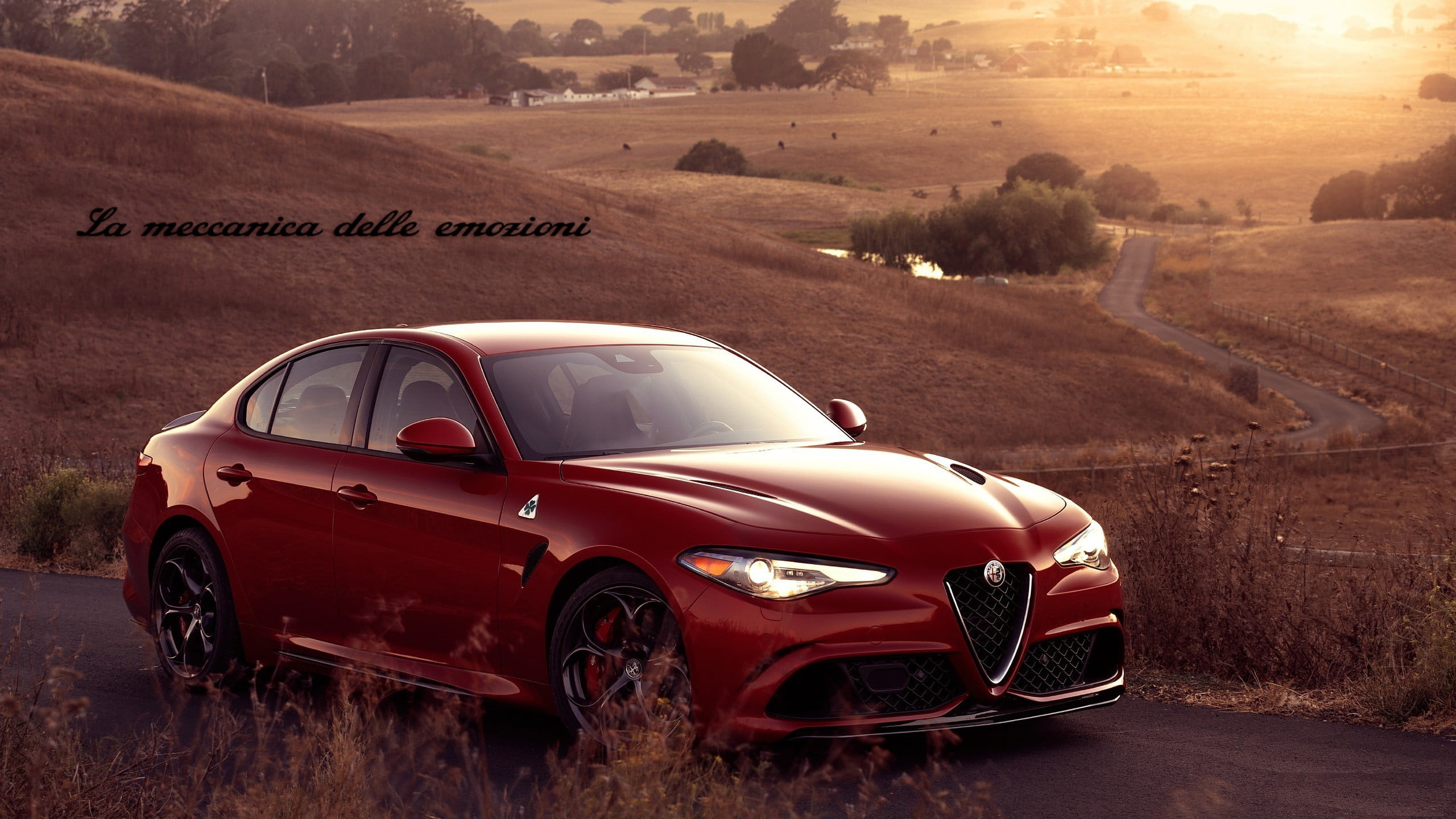 Alfa Romeo Giulia, die cast model, Italian cars, 2560x1440 HD Desktop