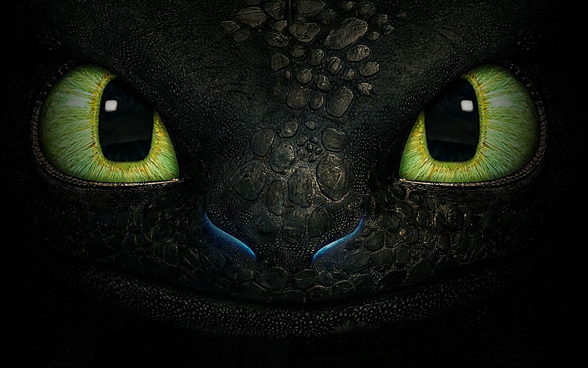 How Train Your Dragon, To Train Dragon, How to Train Your Dragon, 1920x1200 HD Desktop