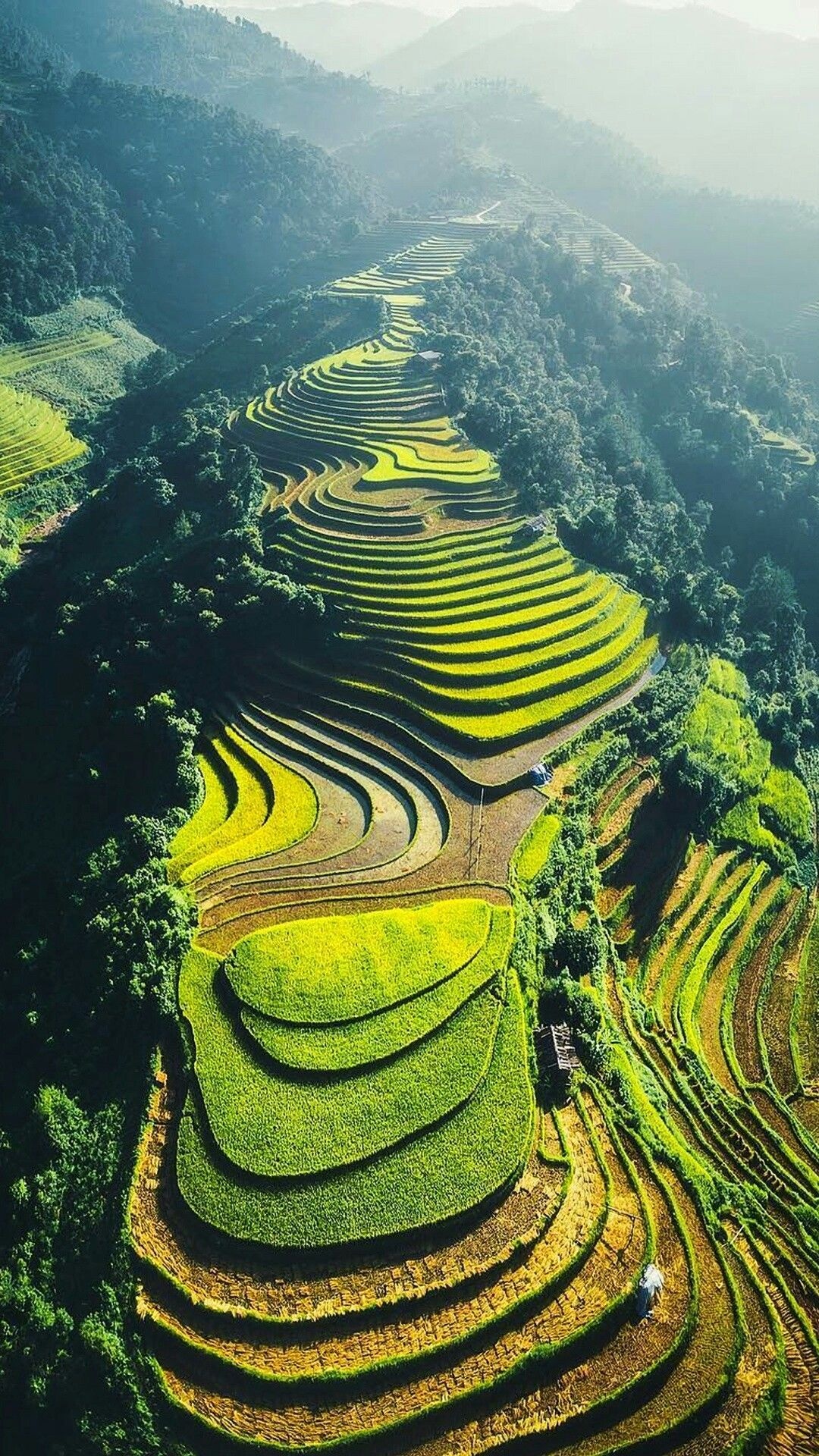 Tajrind, Travel enthusiast, Pinterest profile, Marvelous terraces, 1080x1920 Full HD Phone