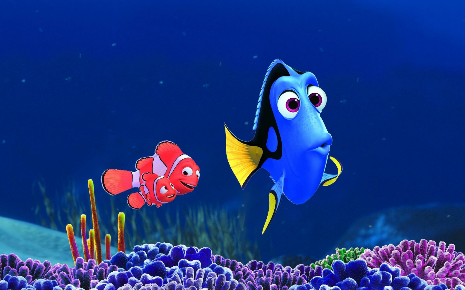 Finding Dory, Disney's masterpiece, High-definition wallpaper, Immersive background, 1920x1200 HD Desktop