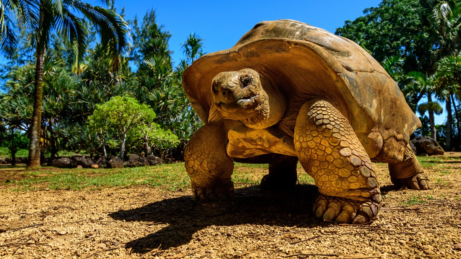 Galapagos challenge, Ultimate travel destination, Mysterious isles, Nature's paradise, 1920x1080 Full HD Desktop