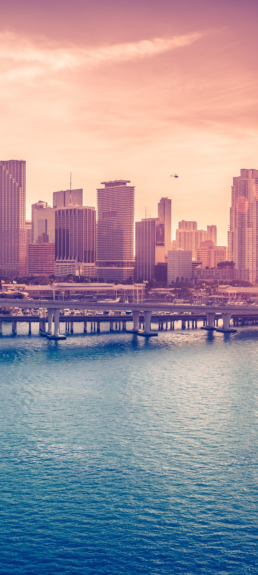 Miami Skyline, Downtown beauty, Florida cityscape, Acosta Bridge, 1080x2400 HD Phone