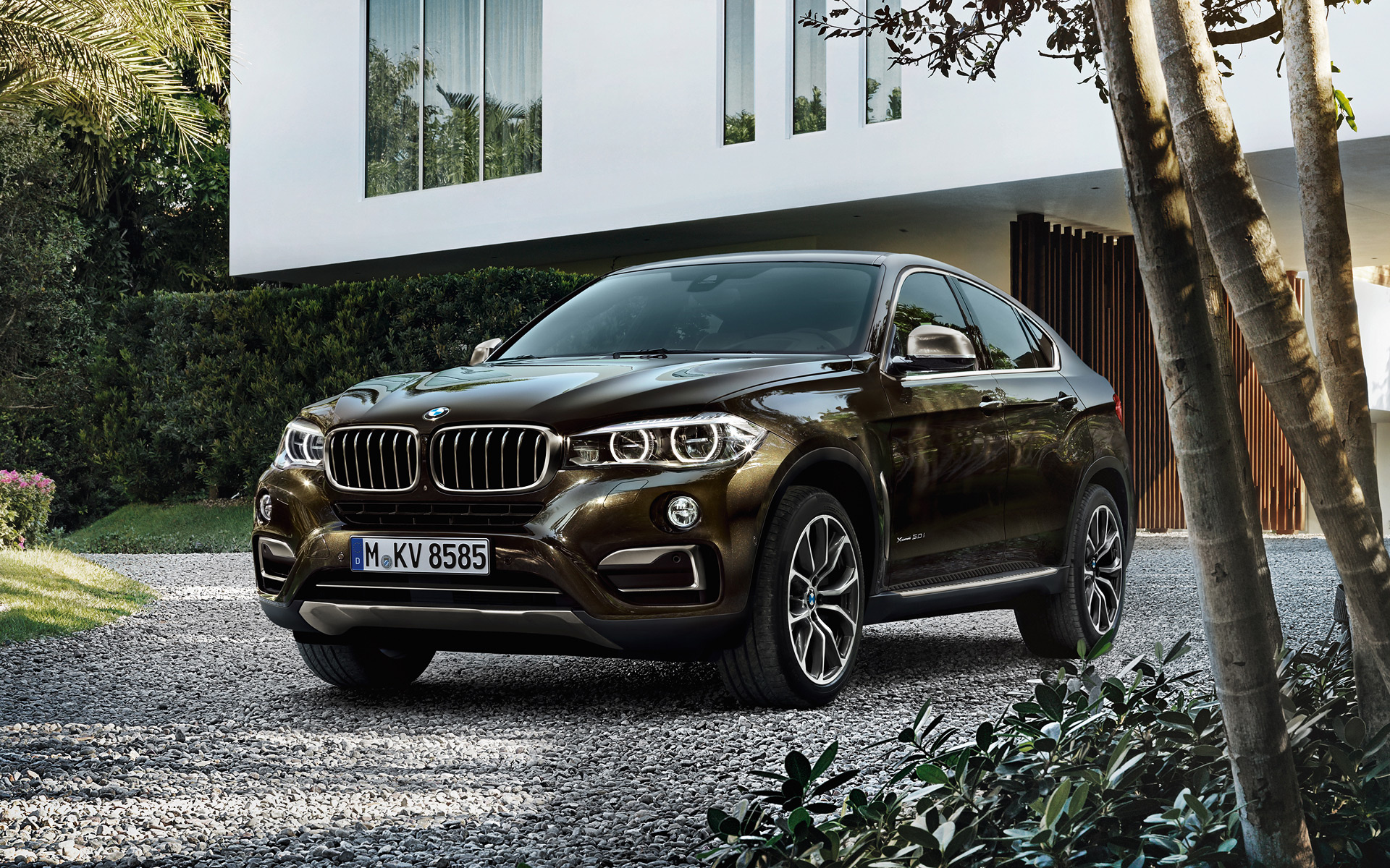 BMW X6, Luxury SUV, Powerful performance, Cutting-edge technology, 1920x1200 HD Desktop