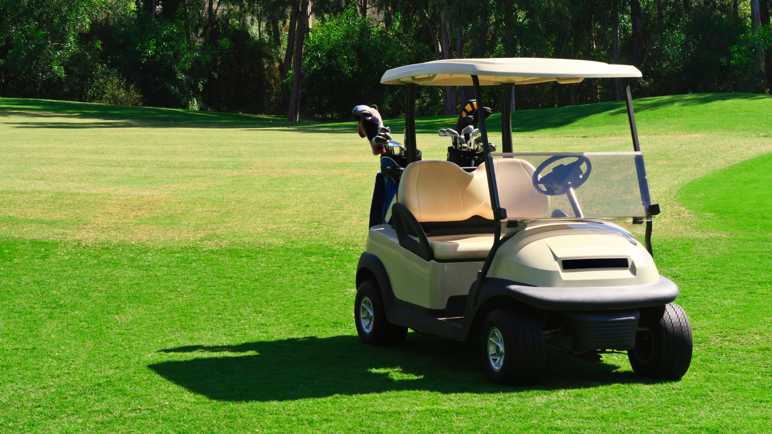 Solar Golf Car, Golf Cart Wallpaper, 2560x1440 HD Desktop