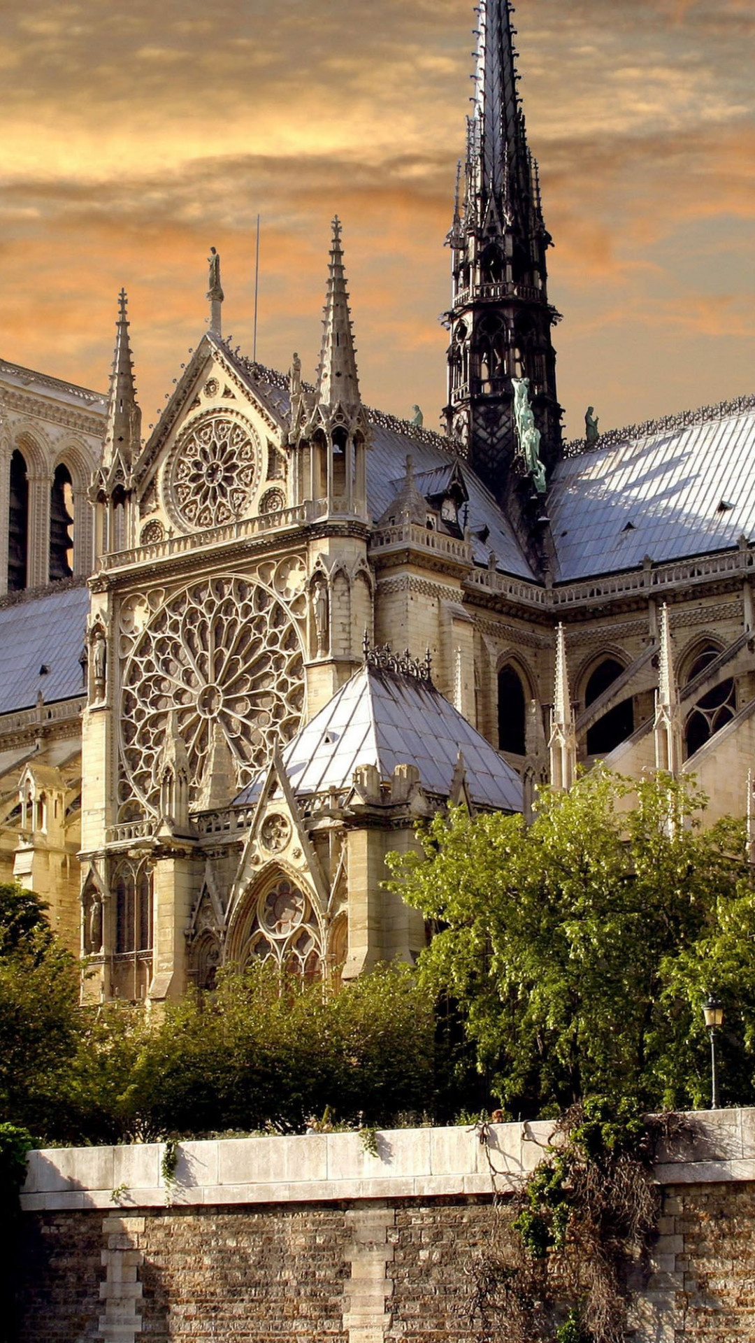 Notre-Dame Cathedral, Travels, Widescreen wallpapers, Mesmerizing beauty, 1080x1920 Full HD Phone