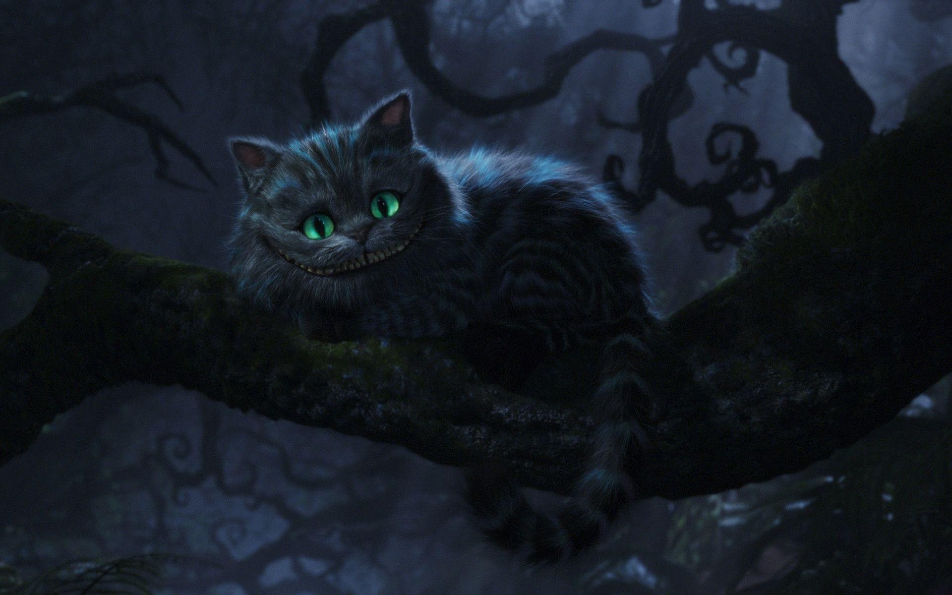 Cheshire Cat wallpapers, Quirky character, Enigmatic smile, Whimsical charm, 1920x1200 HD Desktop