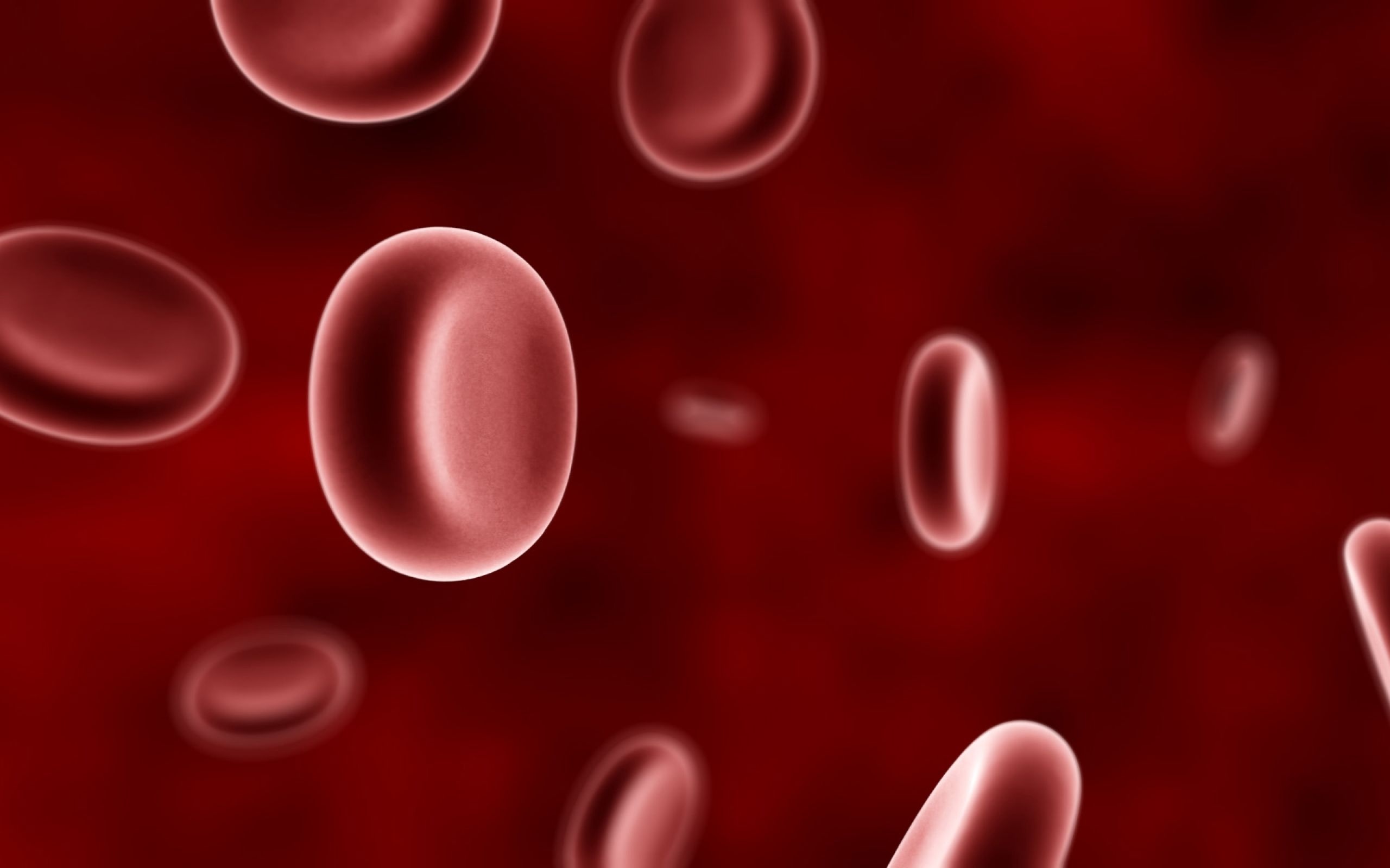 Red blood cells, Biology Wallpaper, 2560x1600 HD Desktop