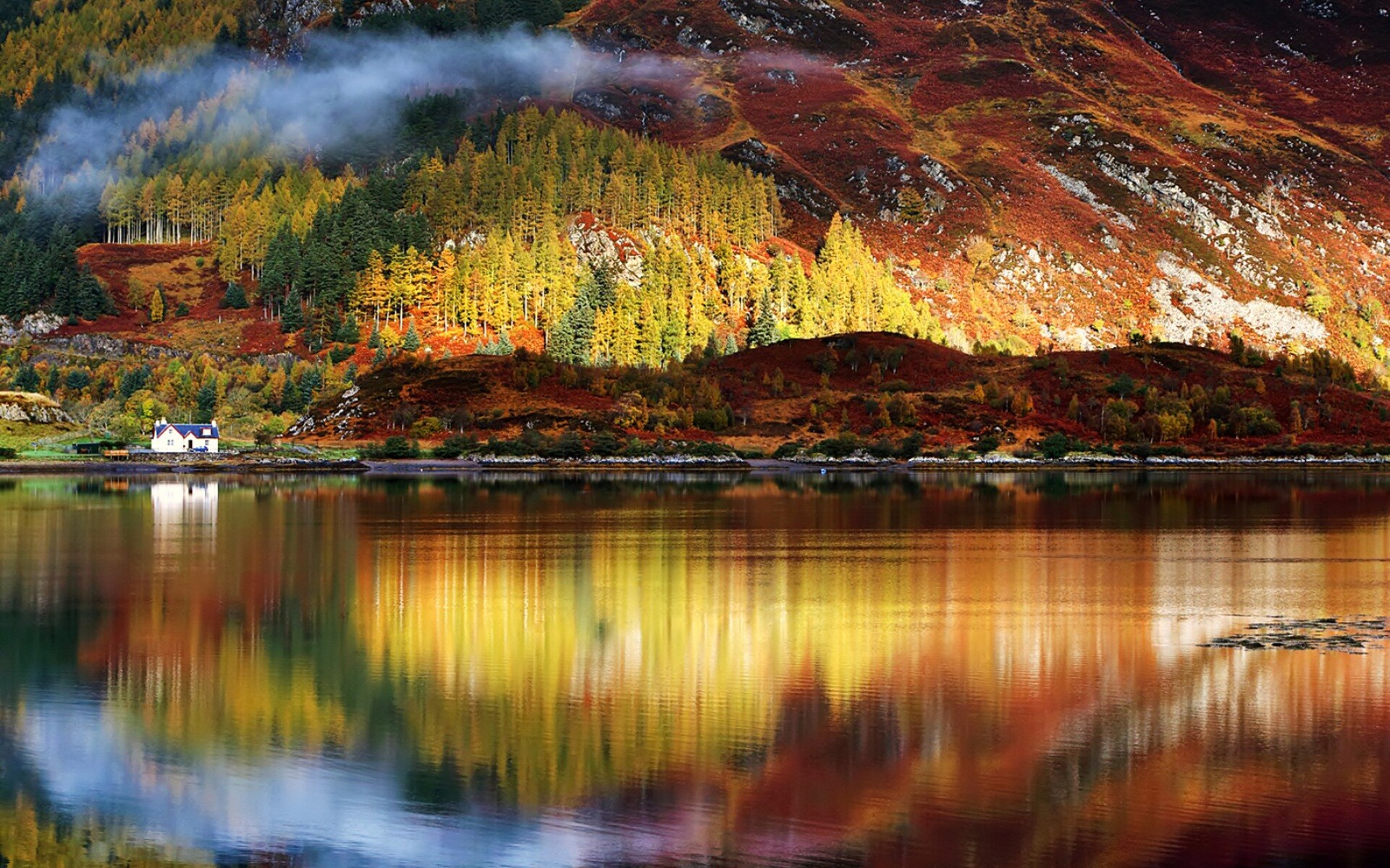 Nature landscape wallpapers by National Geographic, Tranquil lake reflections, Enchanting fog-covered mountain, Majestic tree, 1920x1200 HD Desktop