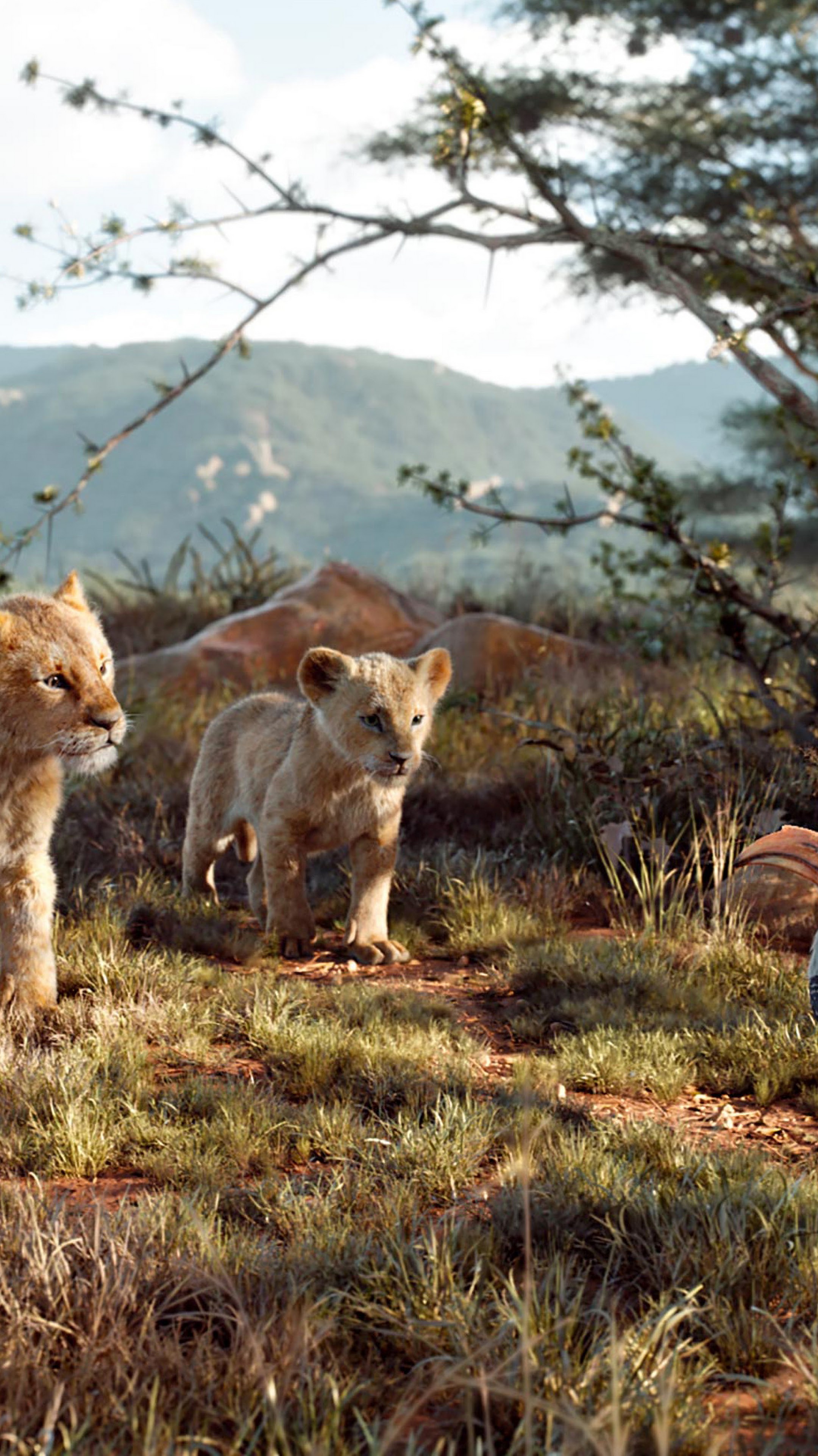 Lion King, Simba, Nala, Zazu, Breathtaking phone wallpaper, 2160x3840 4K Phone