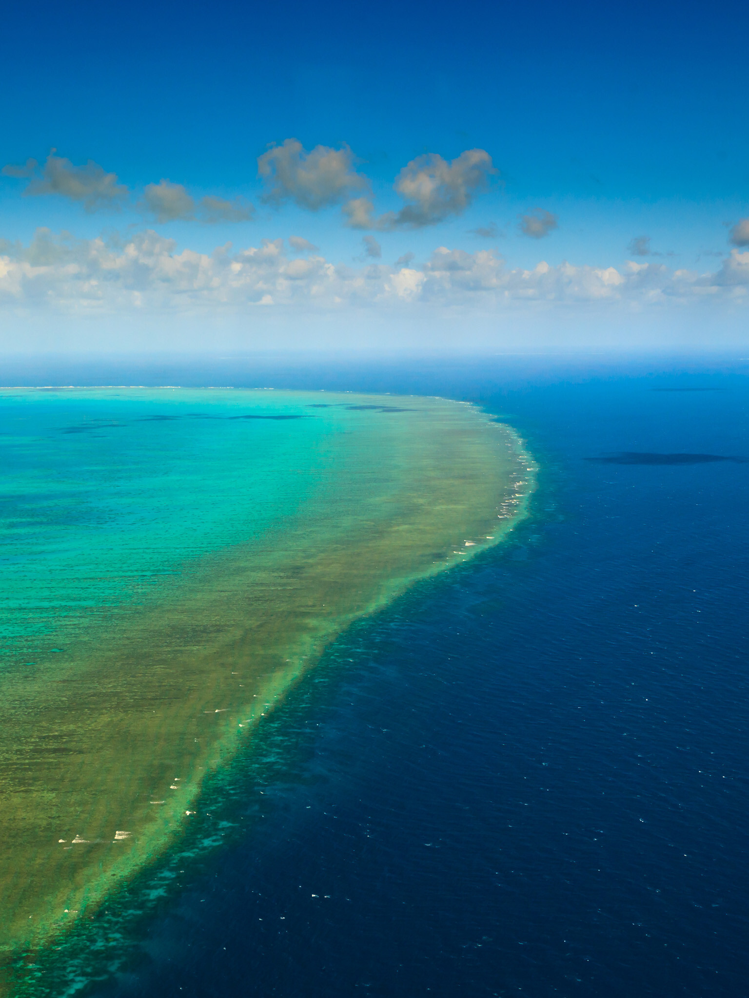 Great Barrier Reef, Australia's beauty, HD wallpapers, Stunning coral reef, 1540x2050 HD Phone