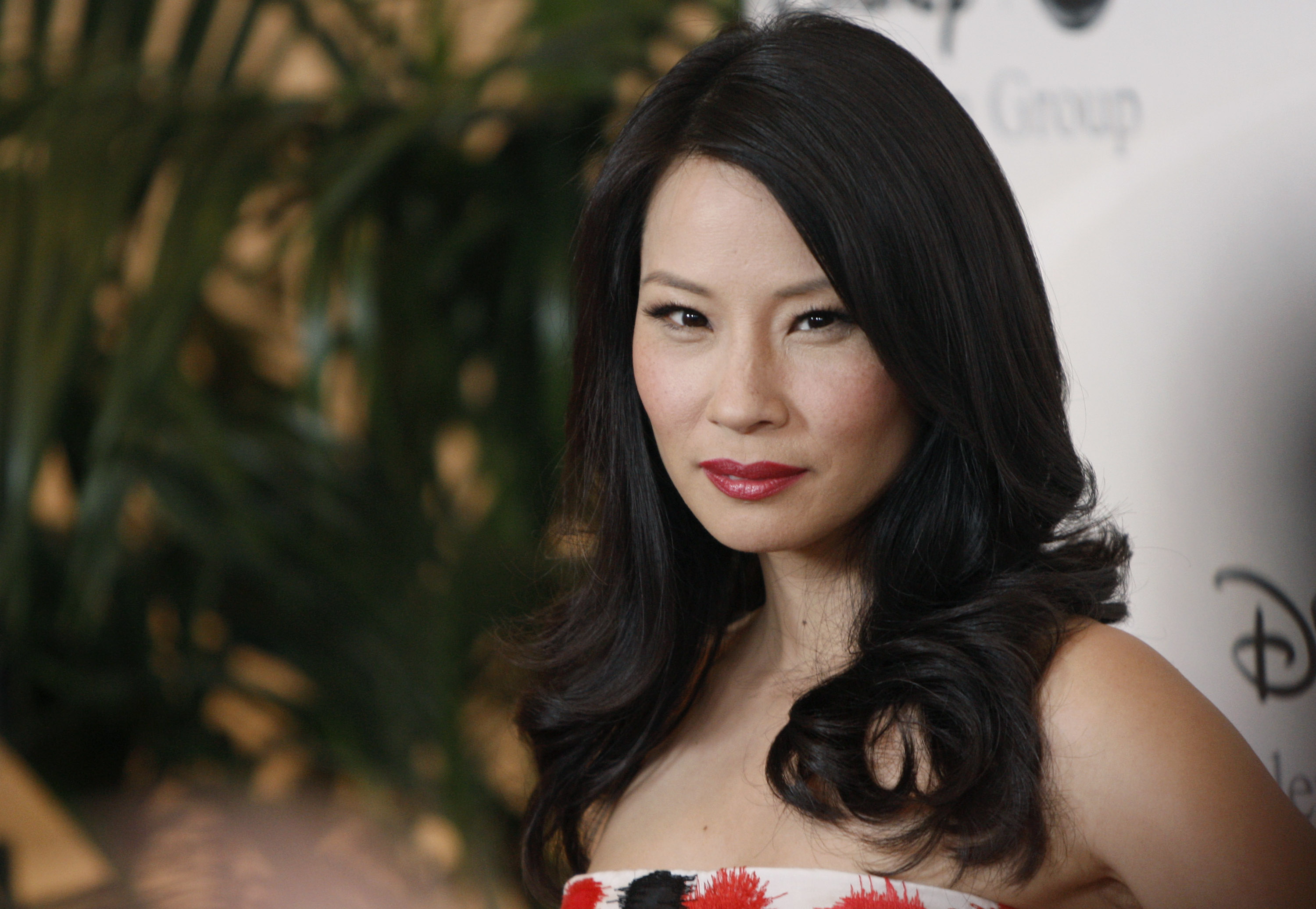 Lucy Liu, Celebrity wallpaper, Stunning image, Hollywood beauty, 3000x2080 HD Desktop