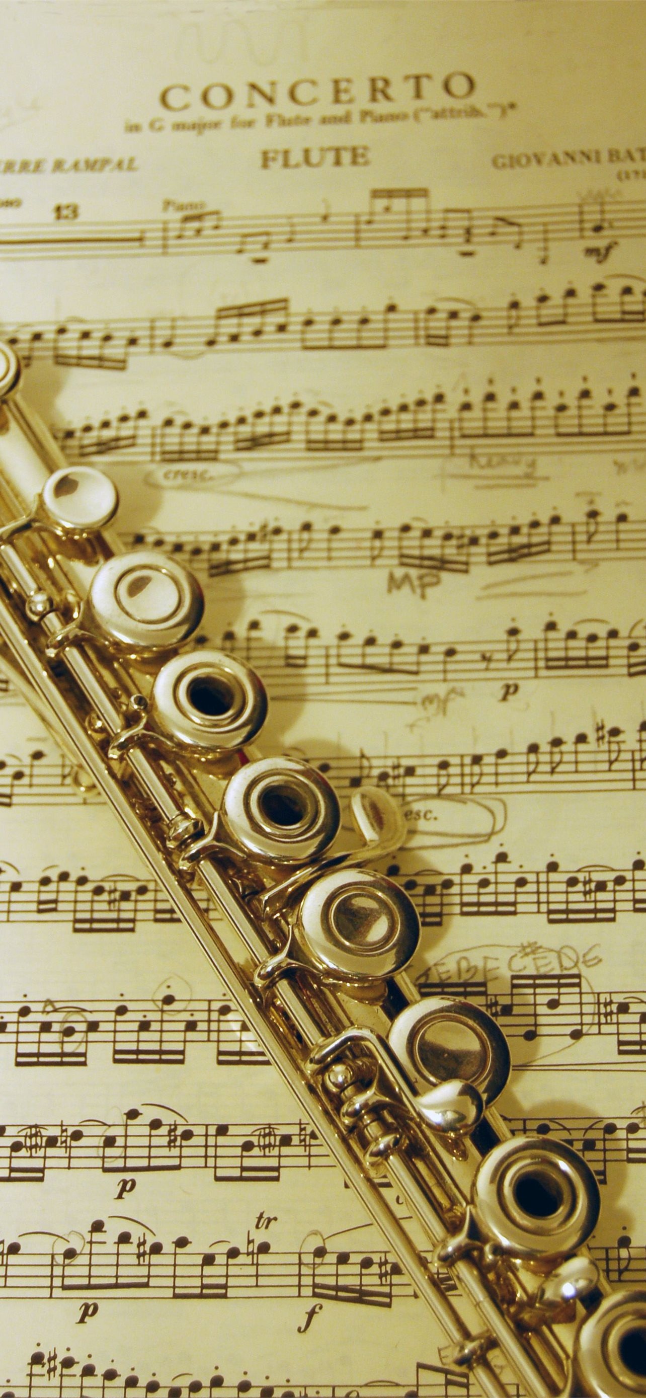 Captivating flute wallpapers, Flute art, Melodious tunes, Elegant instrument, 1290x2780 HD Phone