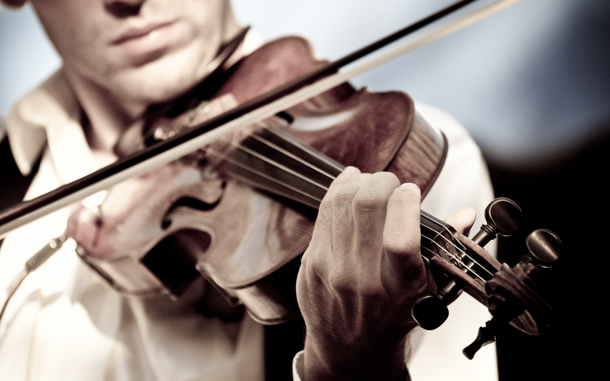 Violin wallpapers, Musical artistry, Captivating strings, Harmonious composition, 2560x1600 HD Desktop