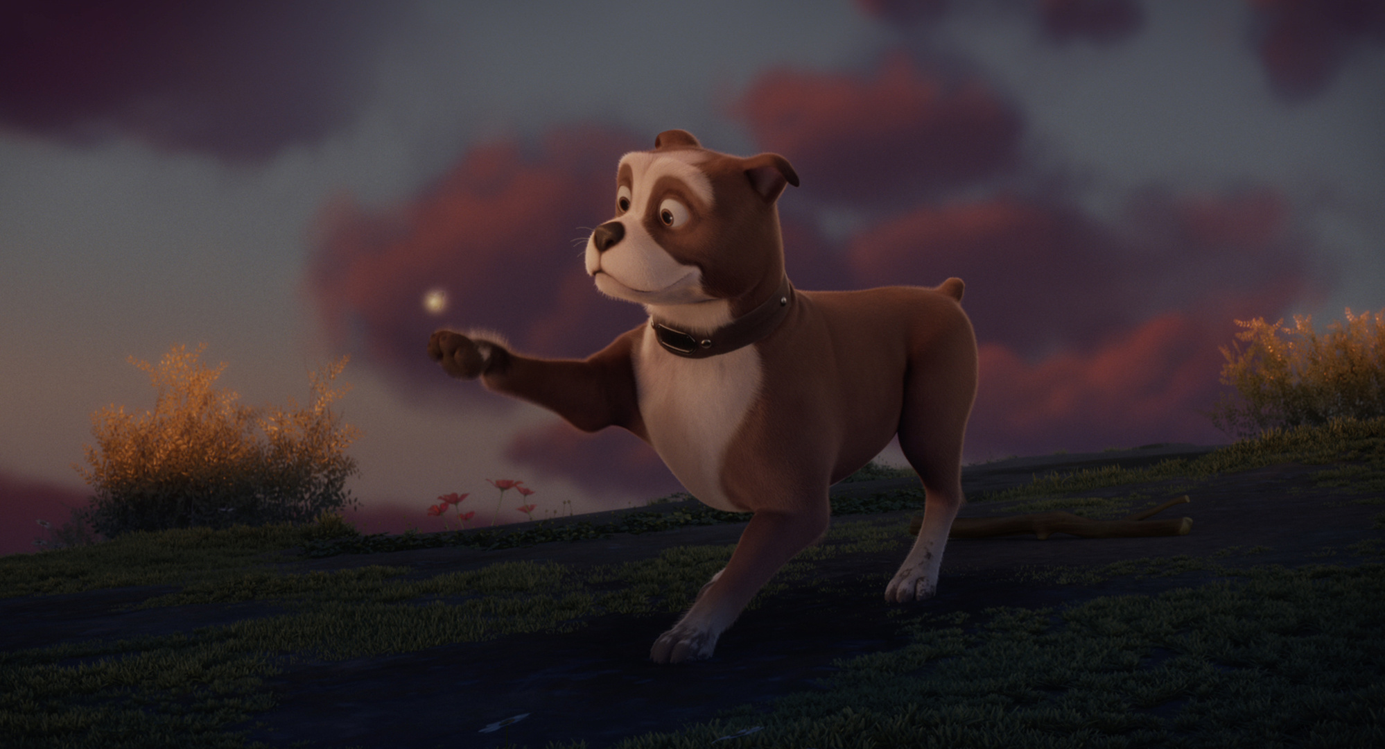 Sgt. Stubby: An American Hero, Family-friendly animation, Fun summer film, Loyal companion, 2000x1080 HD Desktop