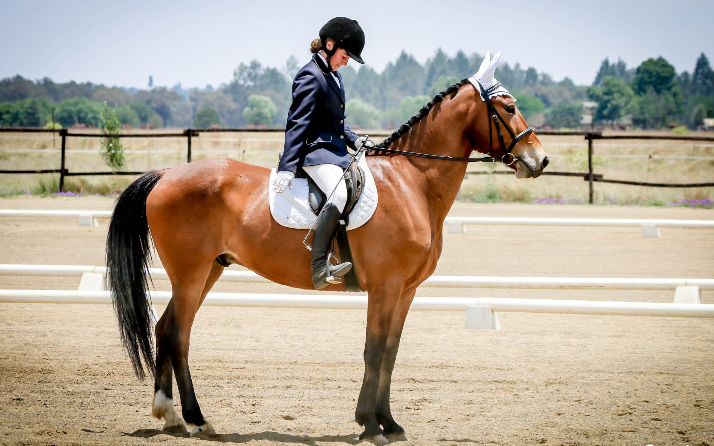 Working equitation in South Africa, All-inclusive equestrian sport, Riding for all, Equine versatility, 2500x1570 HD Desktop