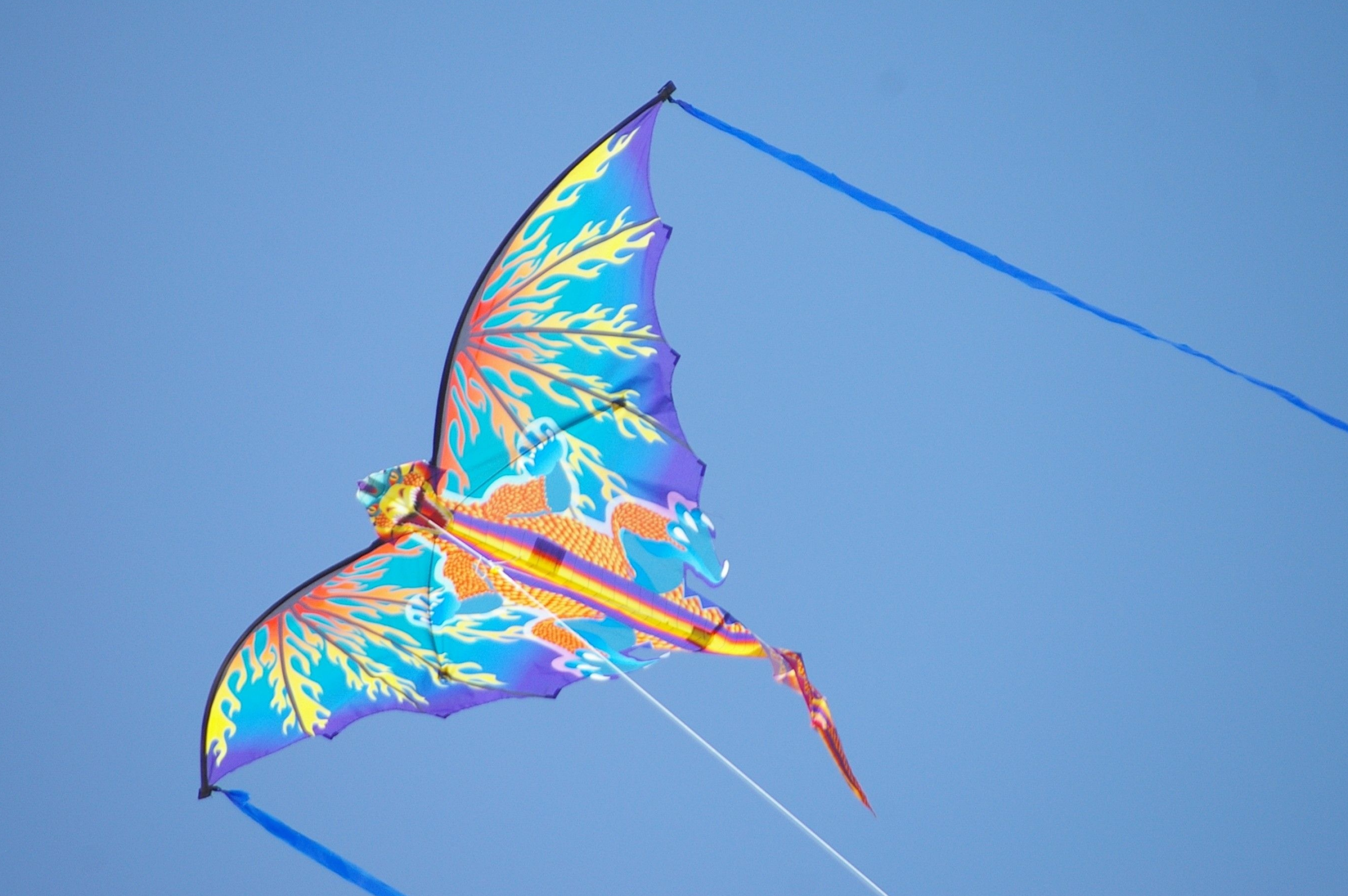 Kite Flying, Kite Wallpaper, Desktop Wallpapers, Surfing Wallpaper, 3010x2000 HD Desktop