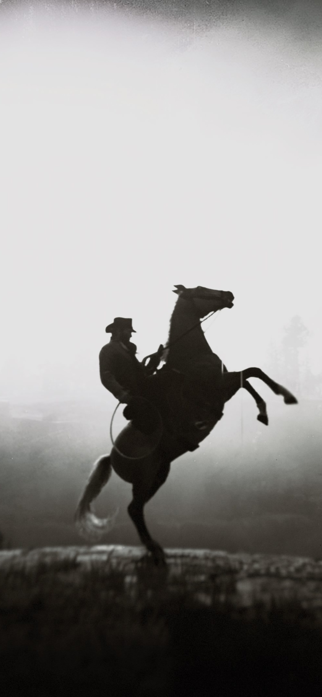 Red Dead Redemption 2, Equitation Wallpaper, 1130x2440 HD Phone